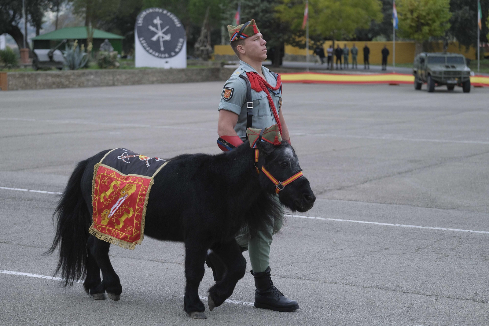 Sábado legionario, en fotos