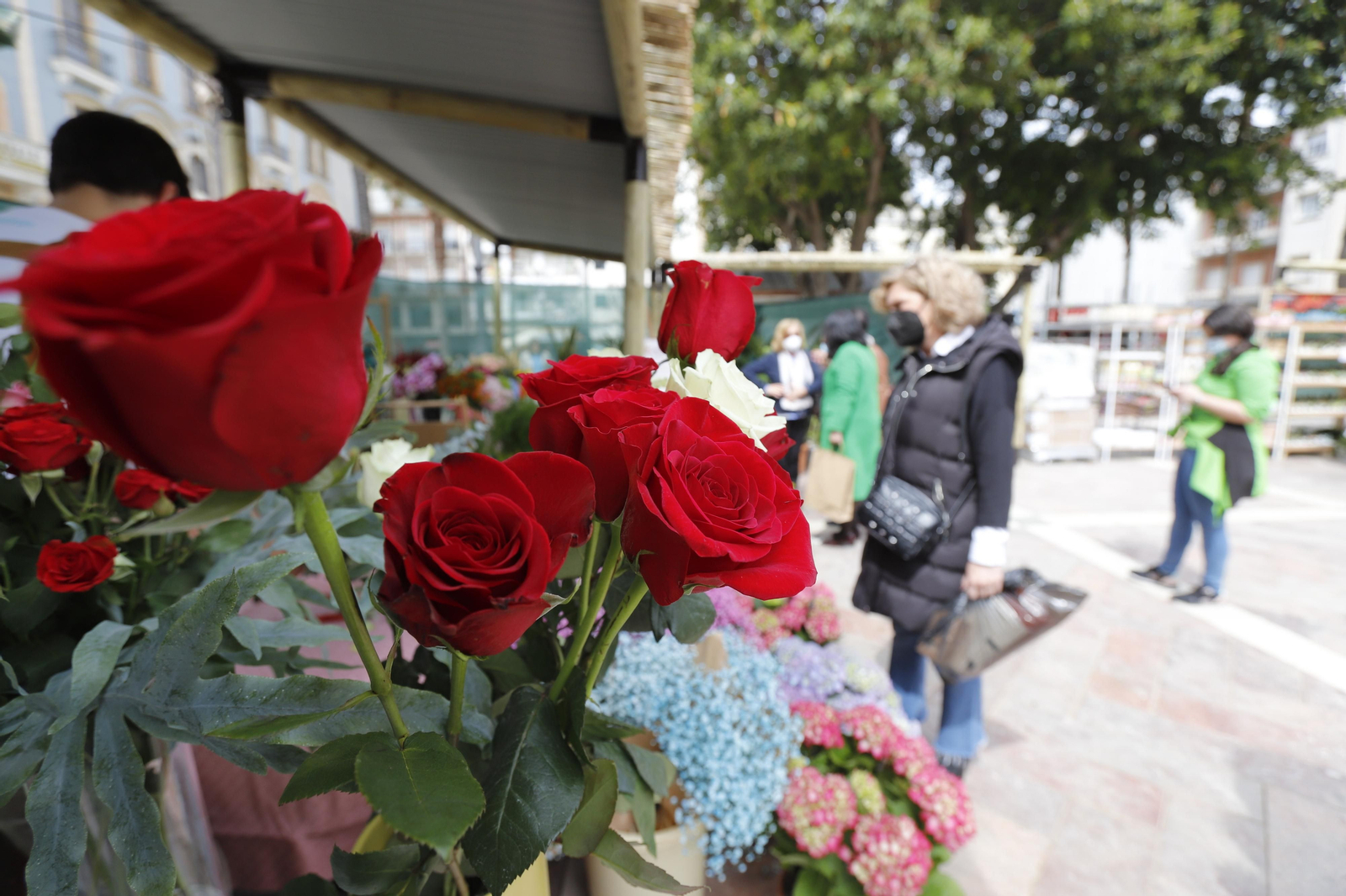 Imágenes del 'V Mercado de Flores y Plantas de Huelva' en la Plaza de Las Monjas