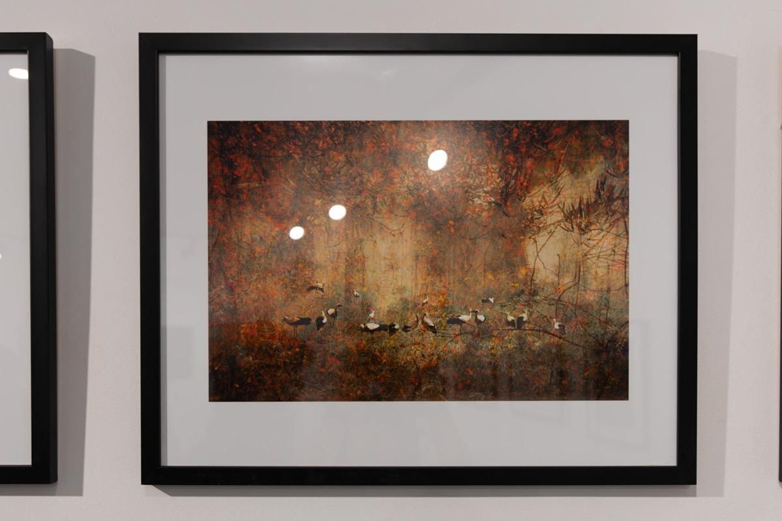 Exposición La Tierra, corazón de la vida, en imágenes