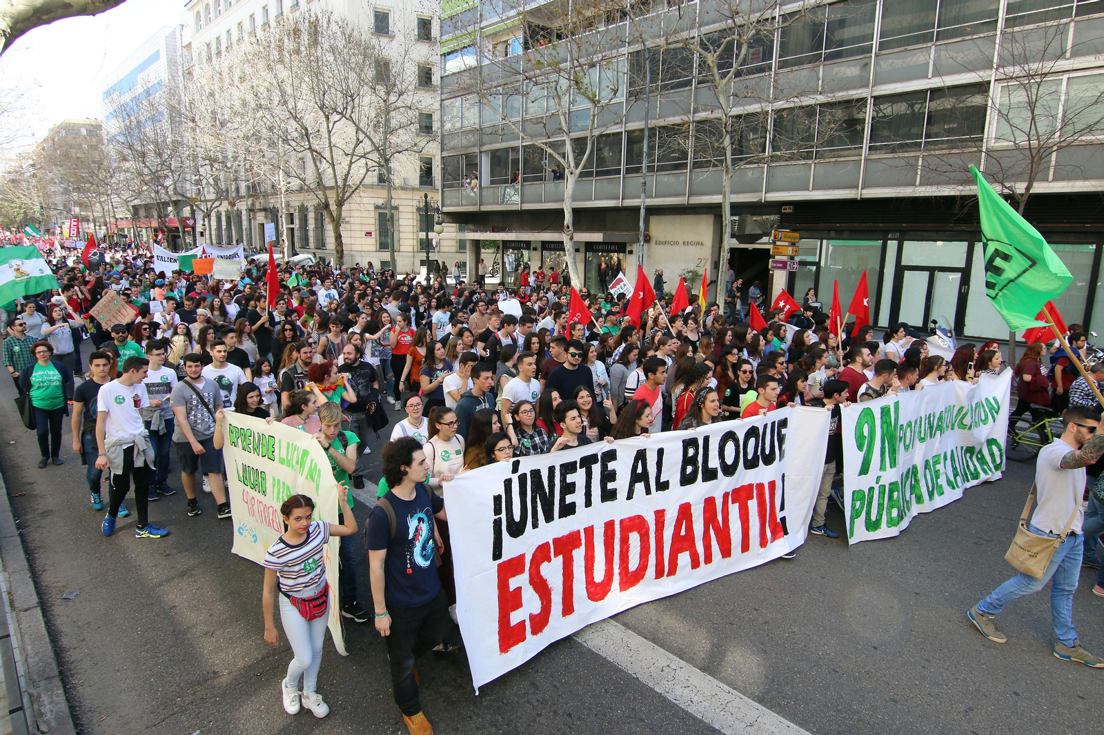 La manifestación contra la Lomce, en imágenes