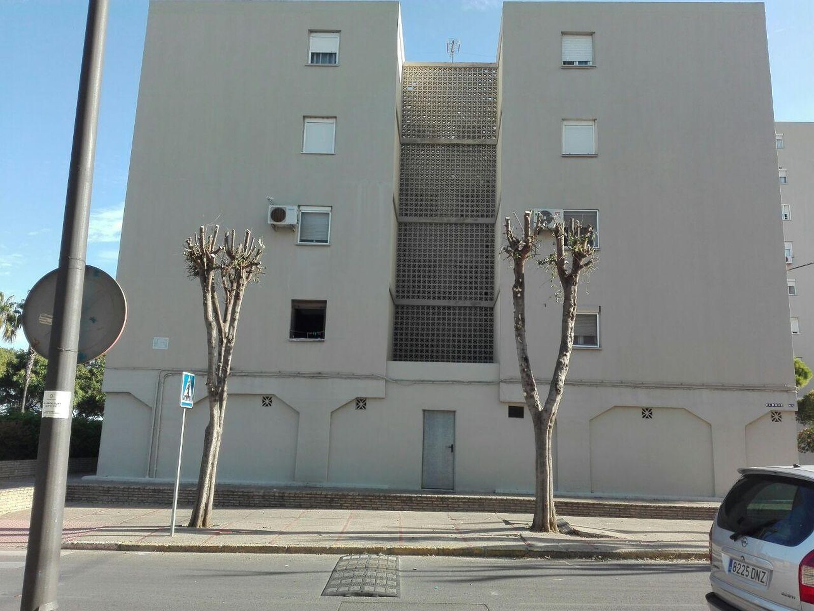 Una de las imágenes cedidas por Agaden que ha facilitado Podemos para denunciar las podas agresivas.