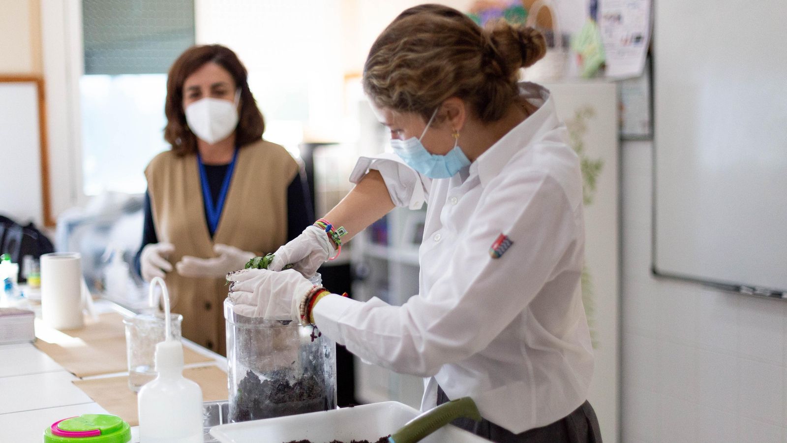 Detalle de la celebración de las XI Jornadas Científicas, dedicadas a la Sanidad Vegetal.