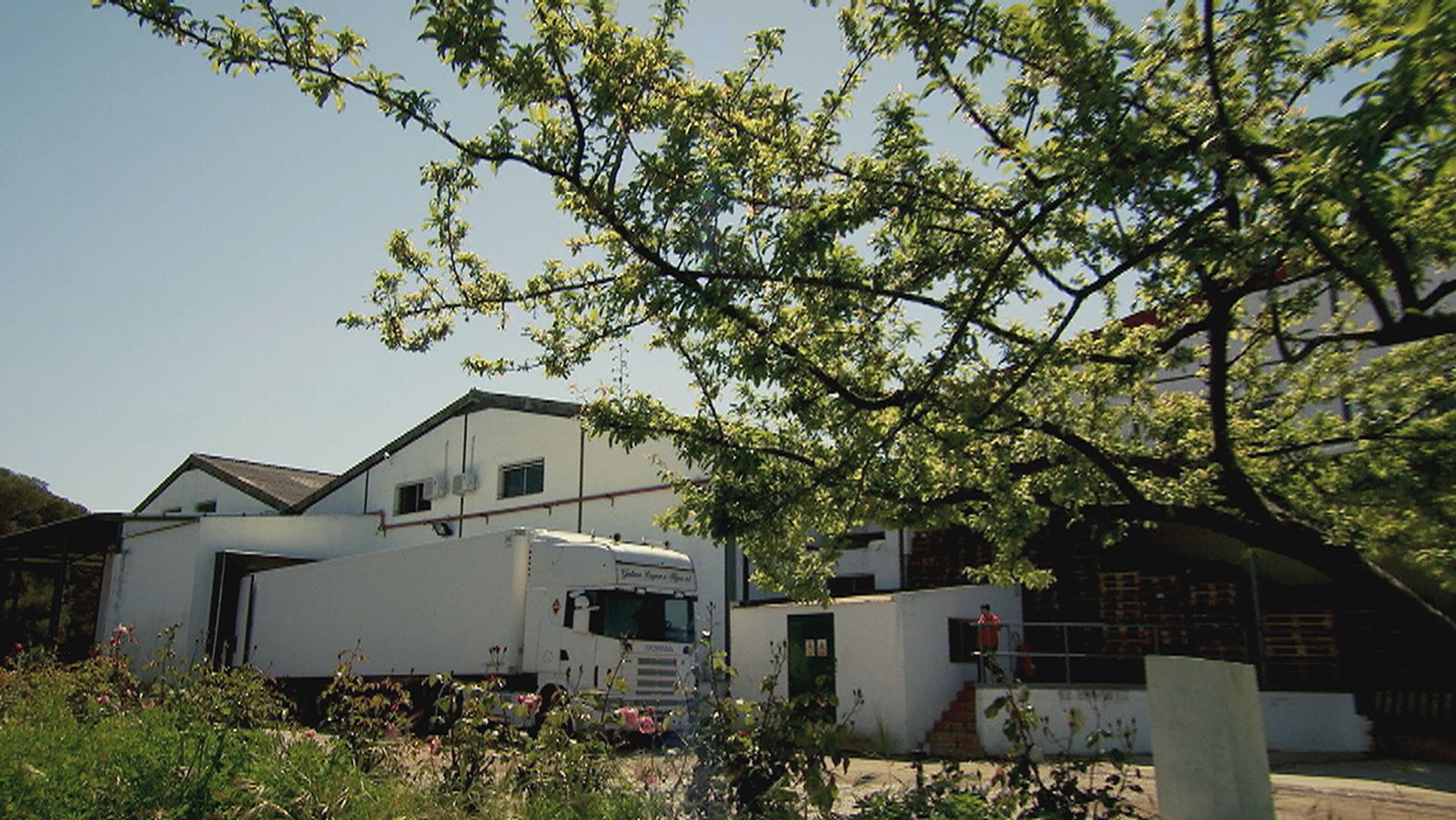 Instalaciones de la finca Las Posadillas, en Moguer.