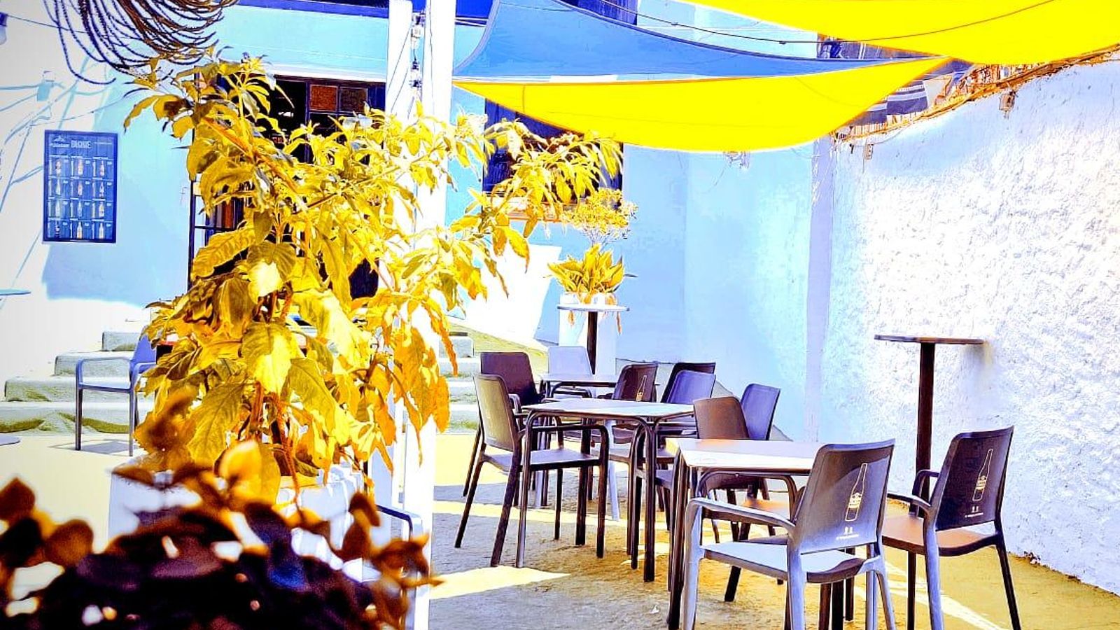 Terraza Bronze Terraza Bronze