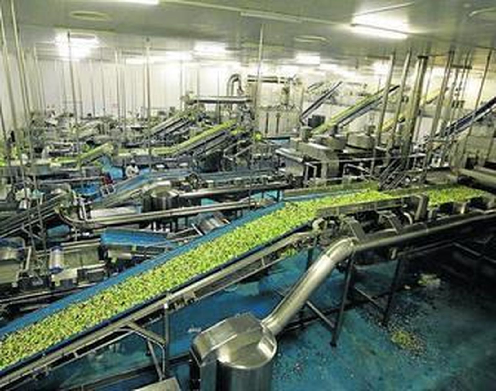 Planta de I y IV Gama de Primaflor, ubicada en Pulpí.