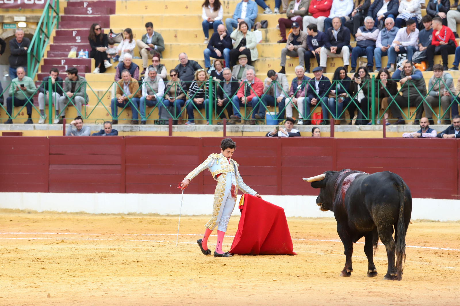 Imágenes de la novillada previa a la Semana Santa en la plaza de toros de La Línea
