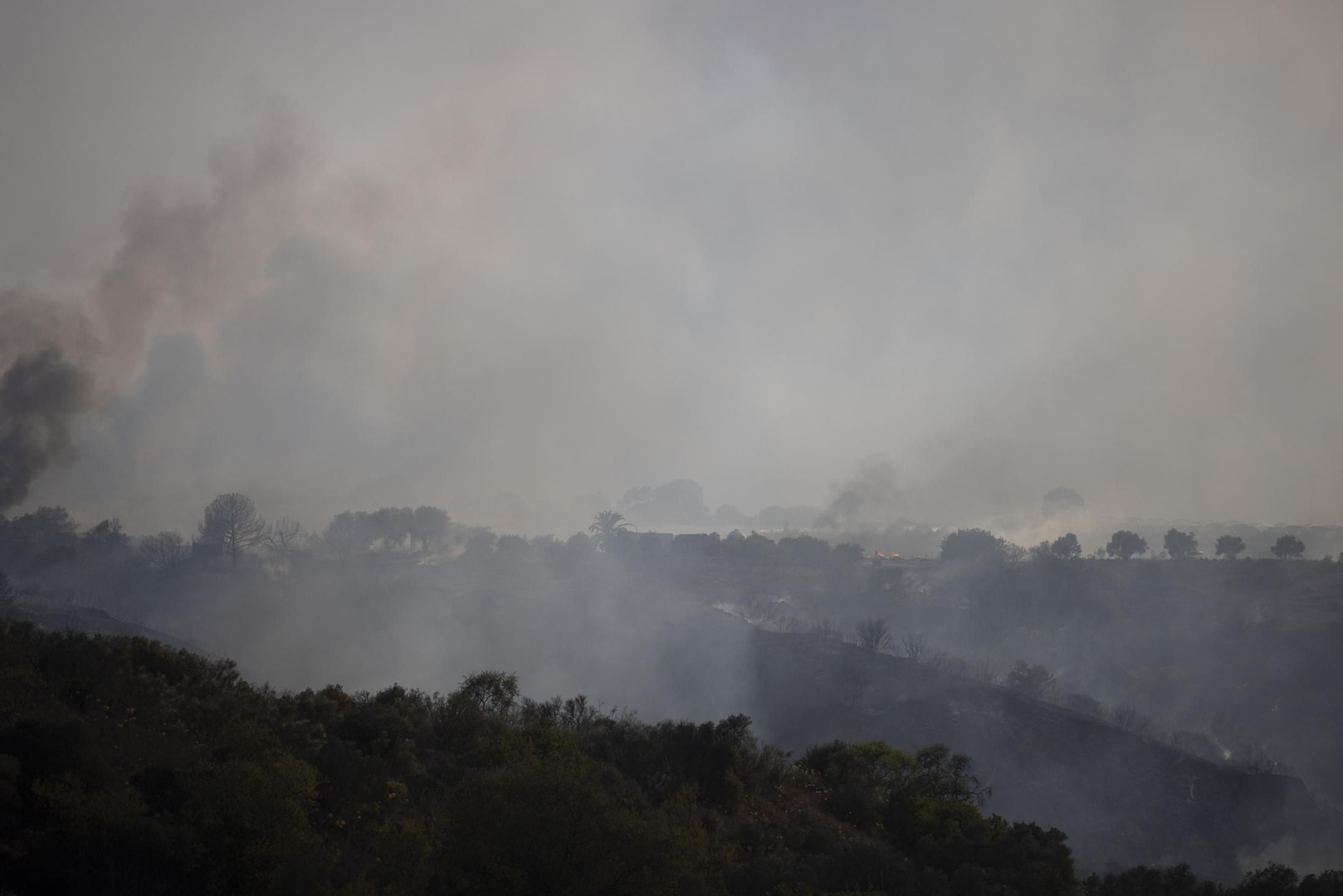 Imágenes del incendio de Bonares