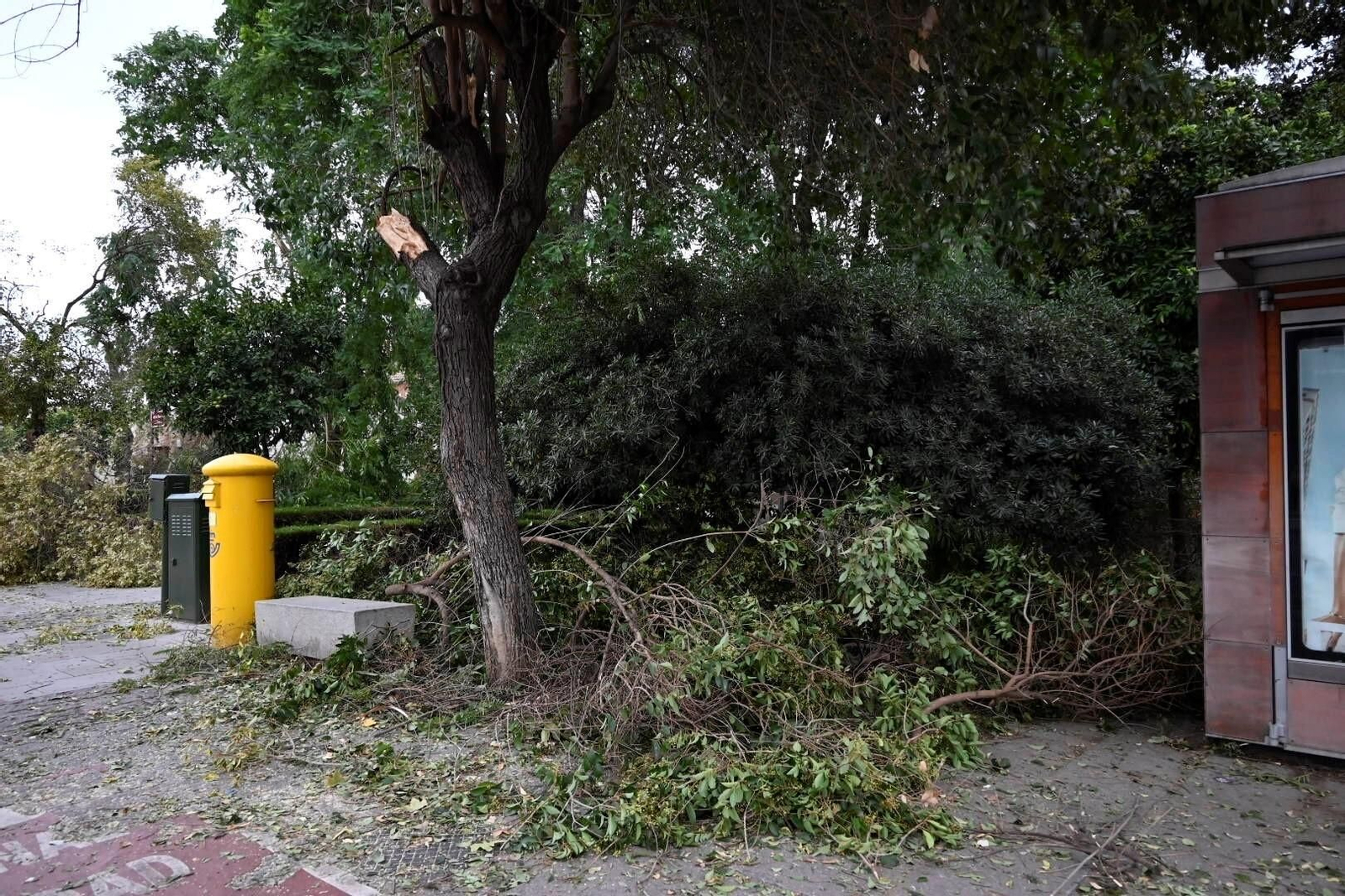 Los daños causados por la borrasca Bernard en Córdoba, en imágenes