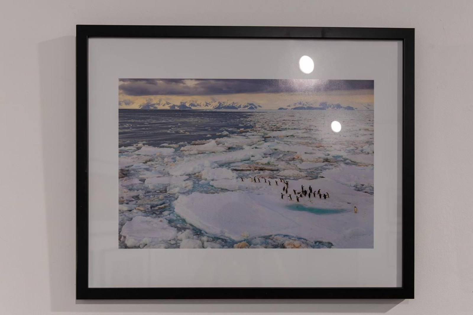 Exposición La Tierra, corazón de la vida, en imágenes