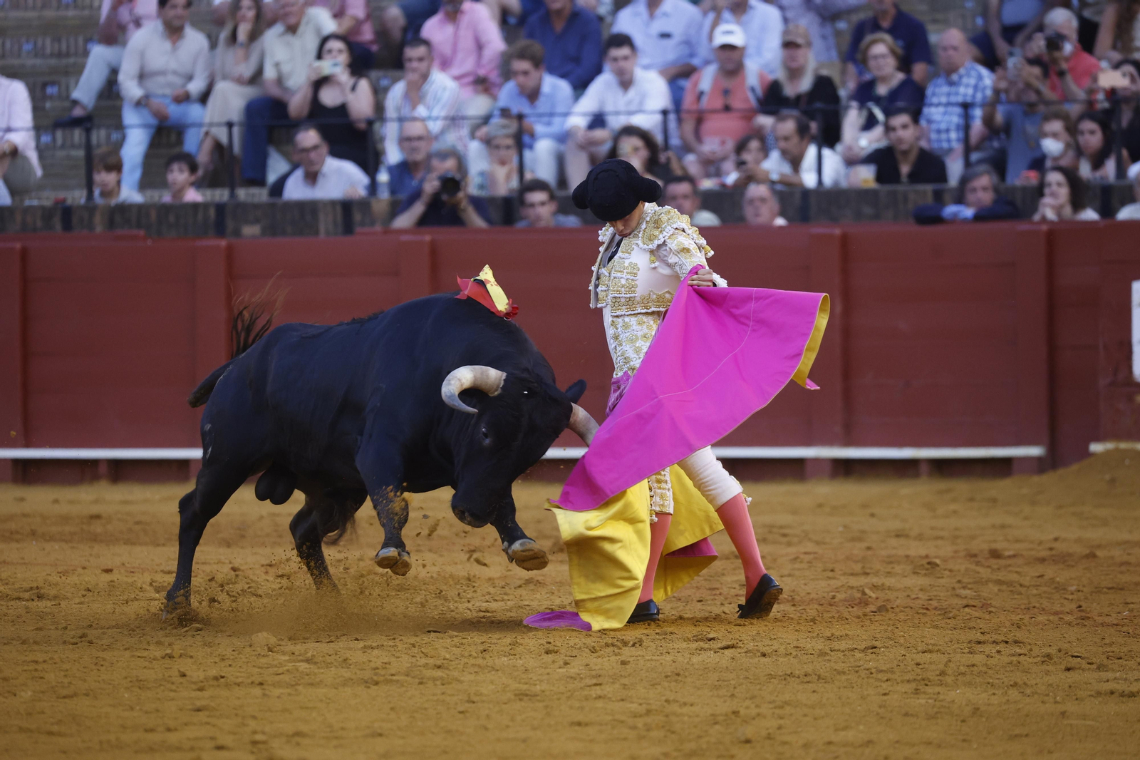 Las imágenes de la novillada en la Maestranza