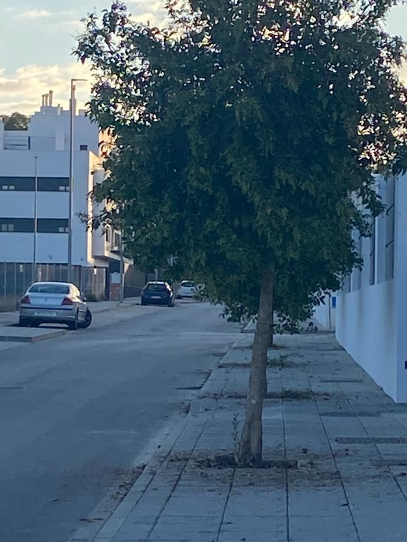 Quejas vecinales por el mal estado de los parques de Pozoalbero en Jerez.