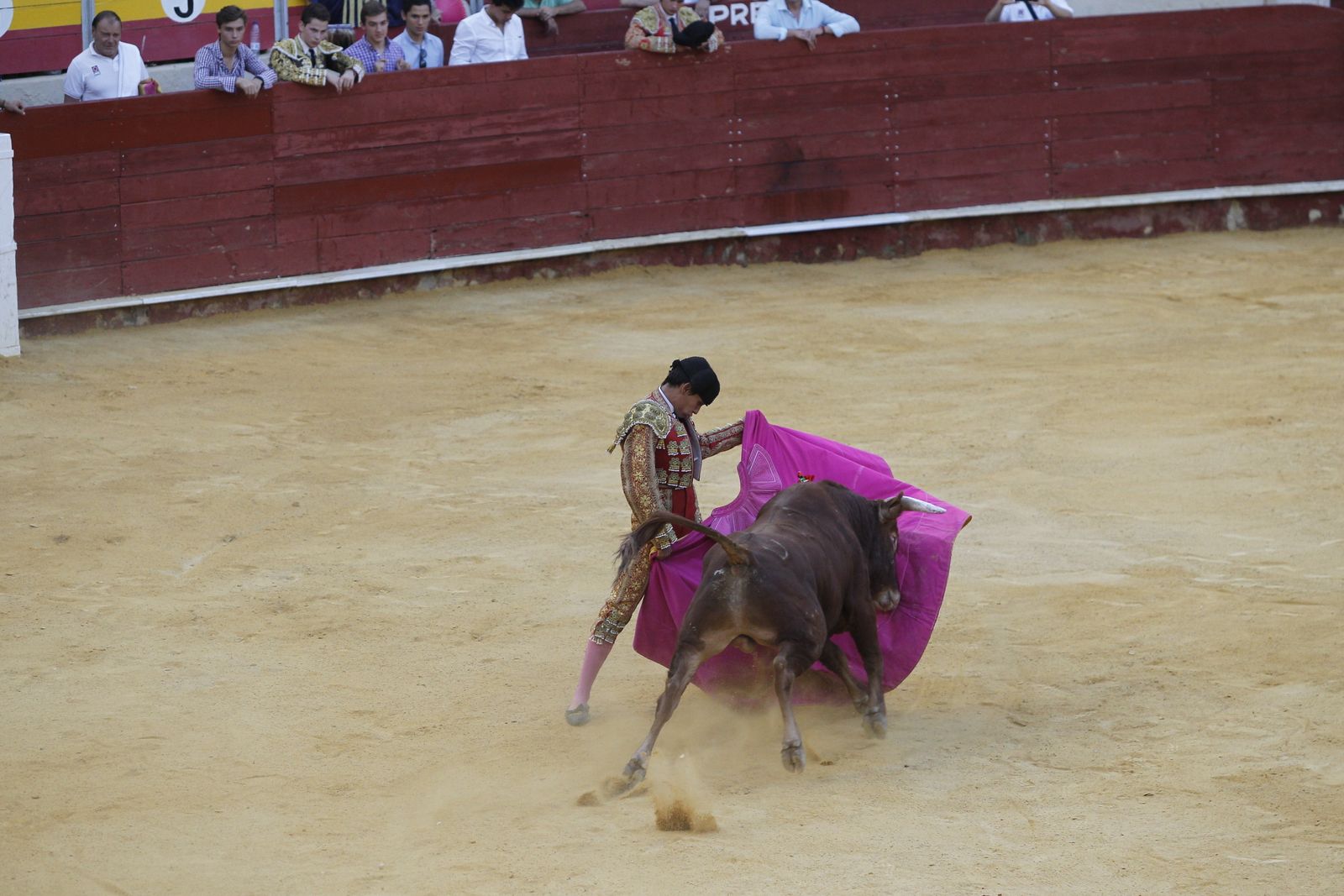 Fotogalería novillada Escuela Taurina de Almería. Feria de Almería 2019