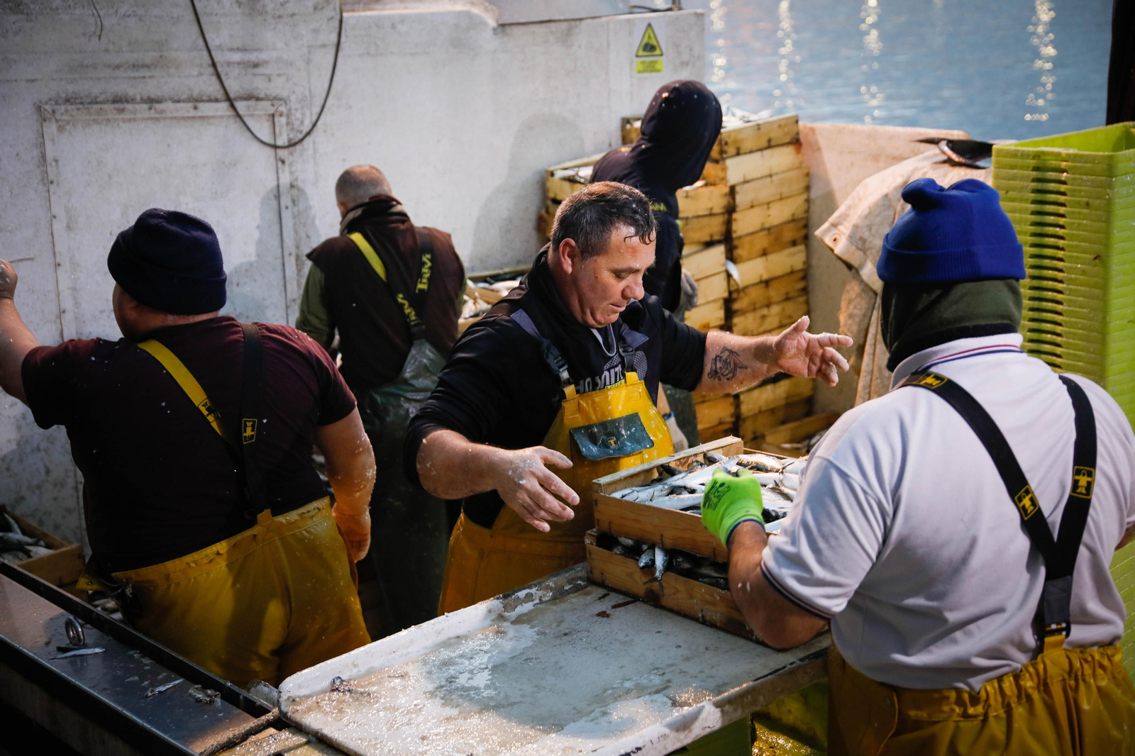 Te contamos en imágenes como ha sido la descarga de las traiñas en la lonja de Almería