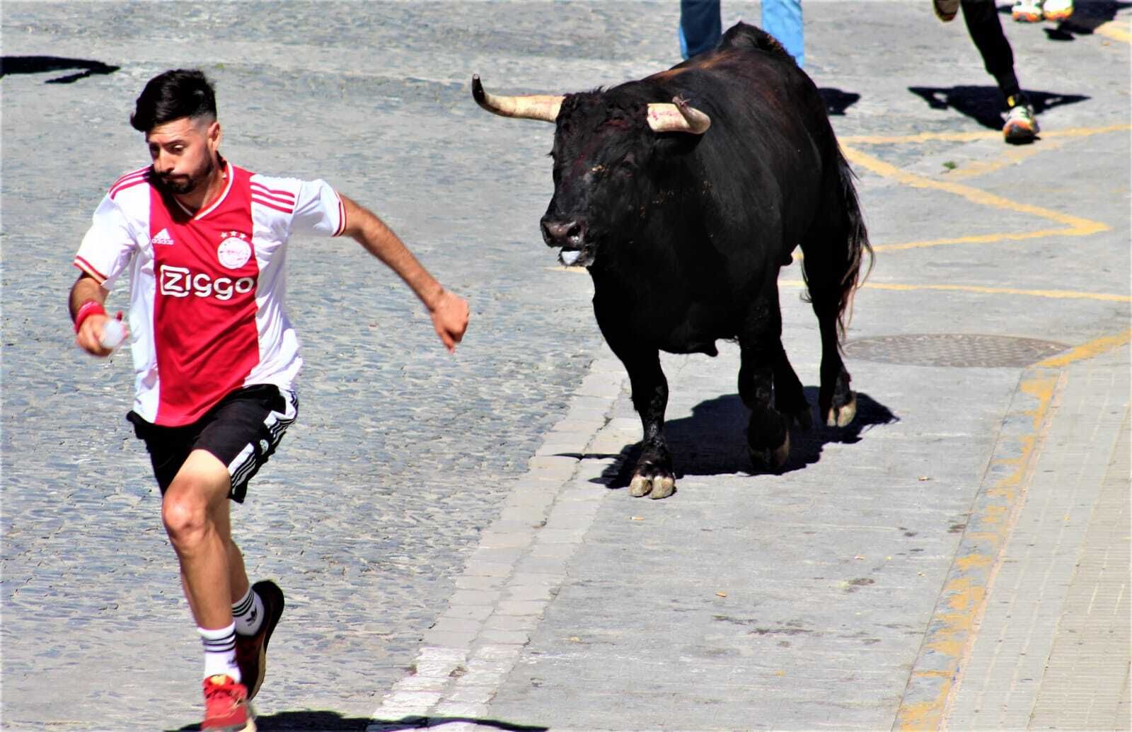 Las imágenes de la celebración del Toro del Aleluya en Arcos 2024