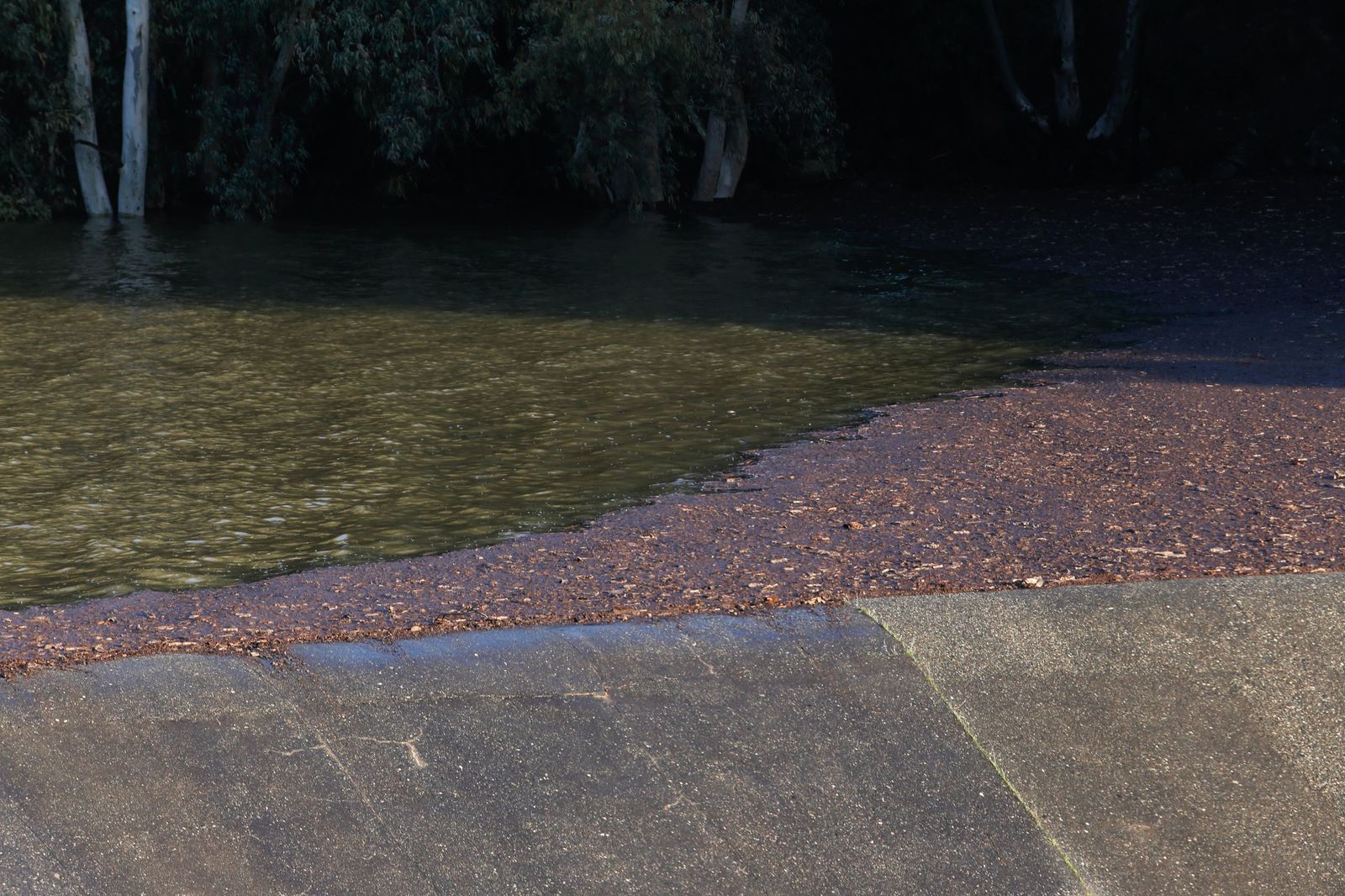 Las fotografías del embalse de Guadarranque este Día de Reyes