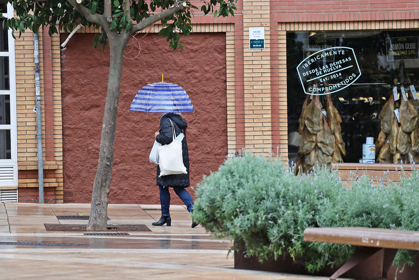 Las calles de la ciudad se inundan de paraguas en la invernal mañana de sábado