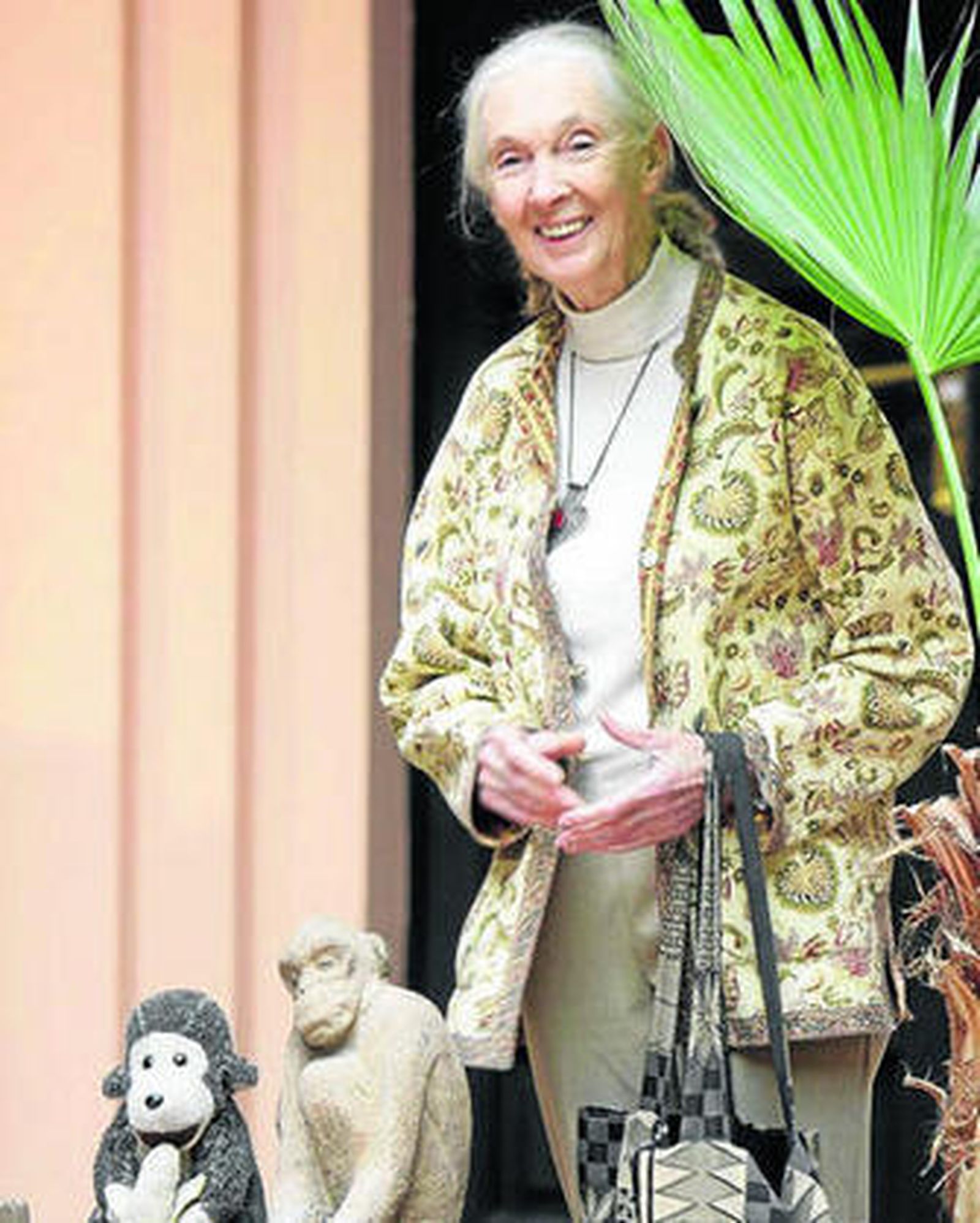 Jane Goodall viaja acompañada del peluche de un chimpancé.