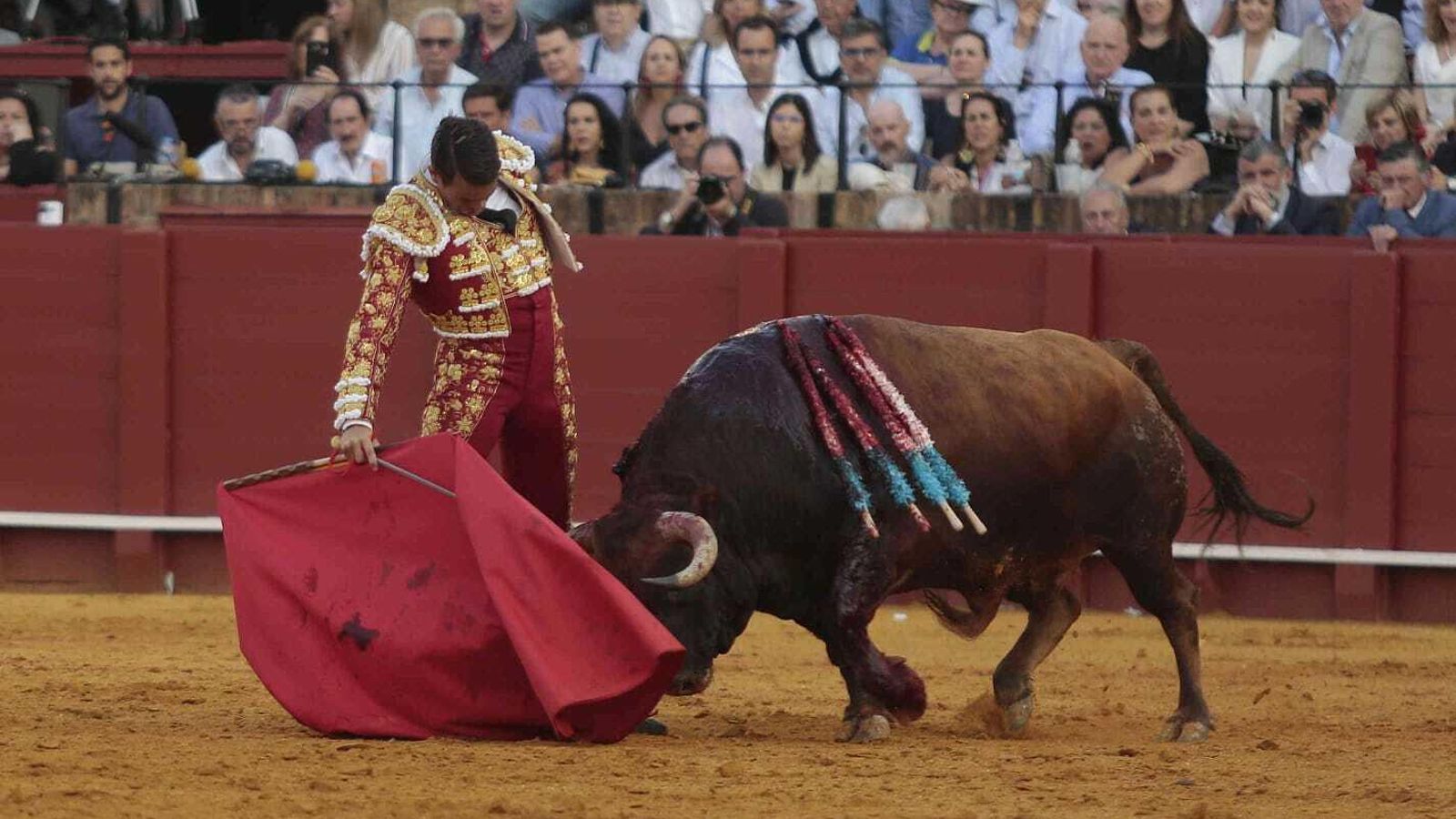 Manzanares torea con la muleta a 'Asesino'.