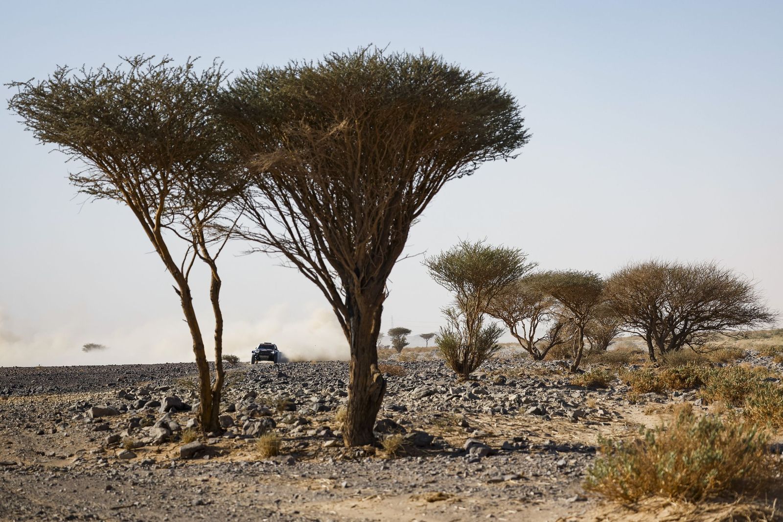Las mejores fotos del Rally Dakar | Novena etapa
