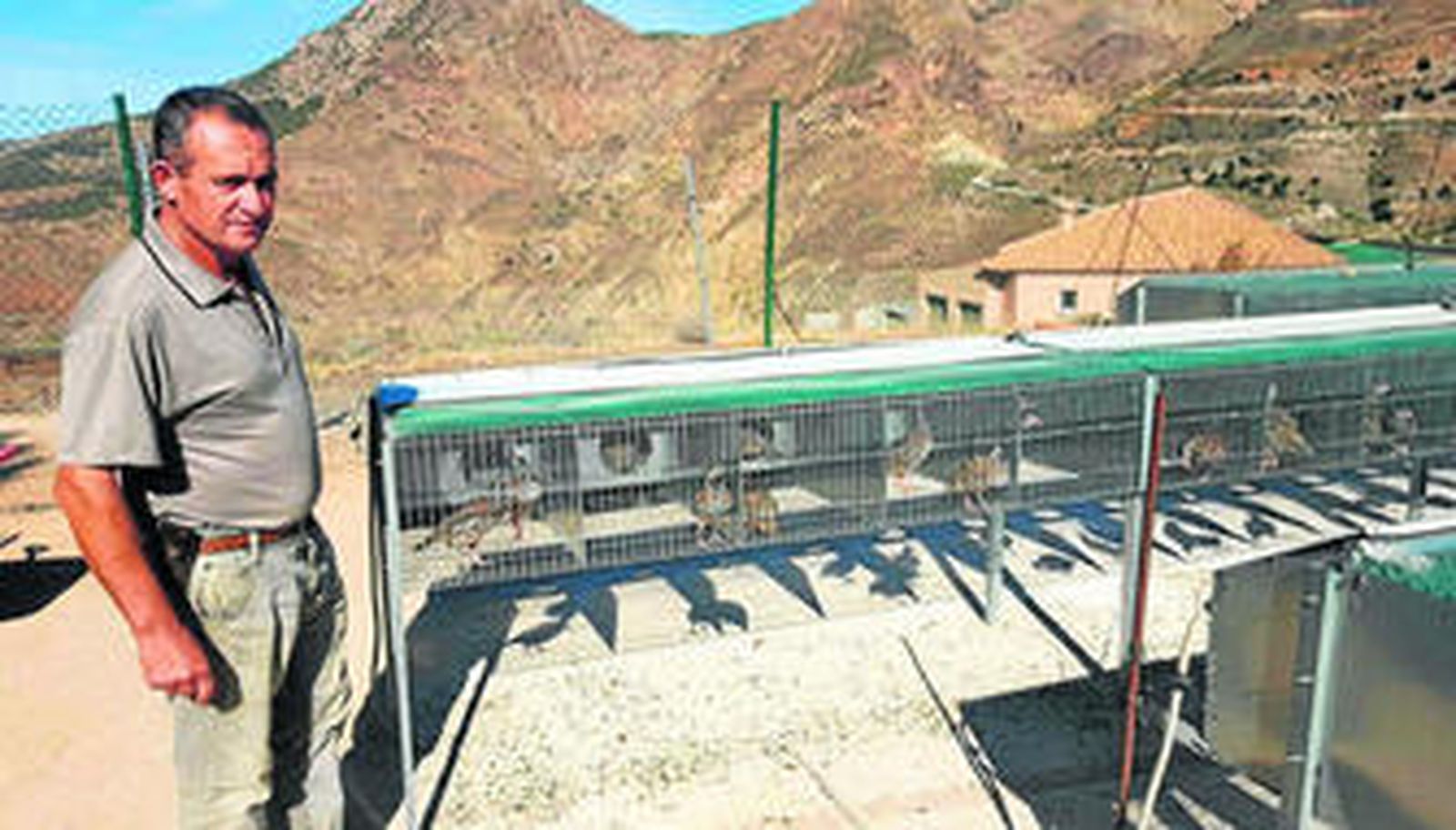 La granja municipal de perdices de Bacares dobla su producción