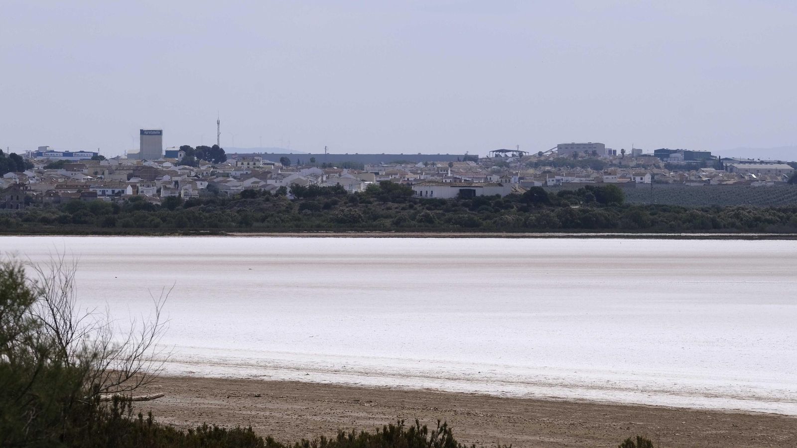Capa de sal sobre la laguna de Fuente de Piedra.