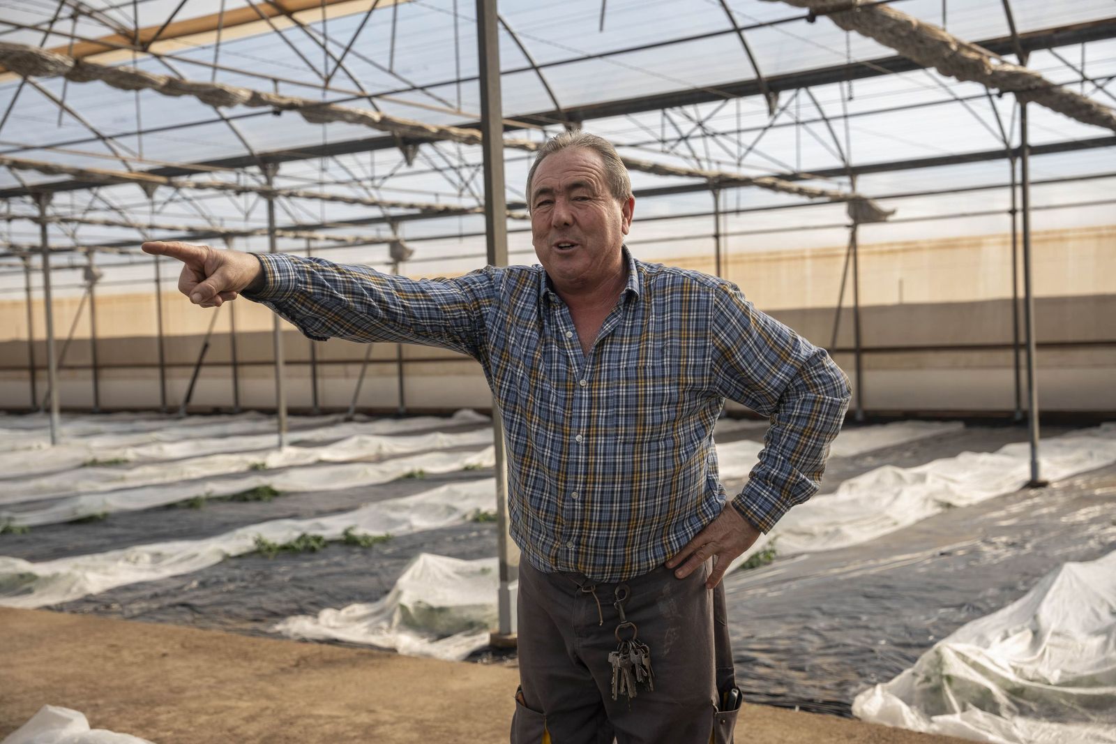 La primavera se planta en invierno entre sandías y tomates almerienses