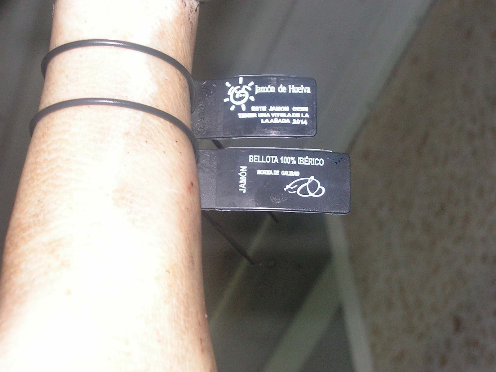 La "desconocida" norma del ibérico