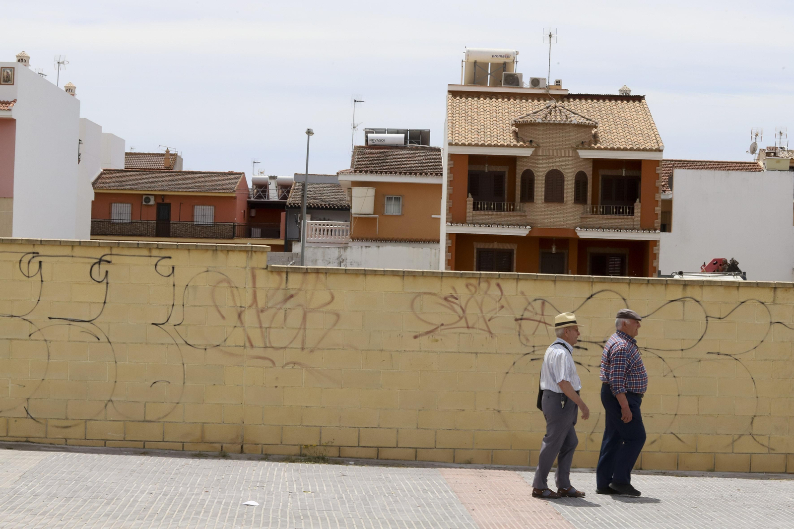 Campanillas en fotos