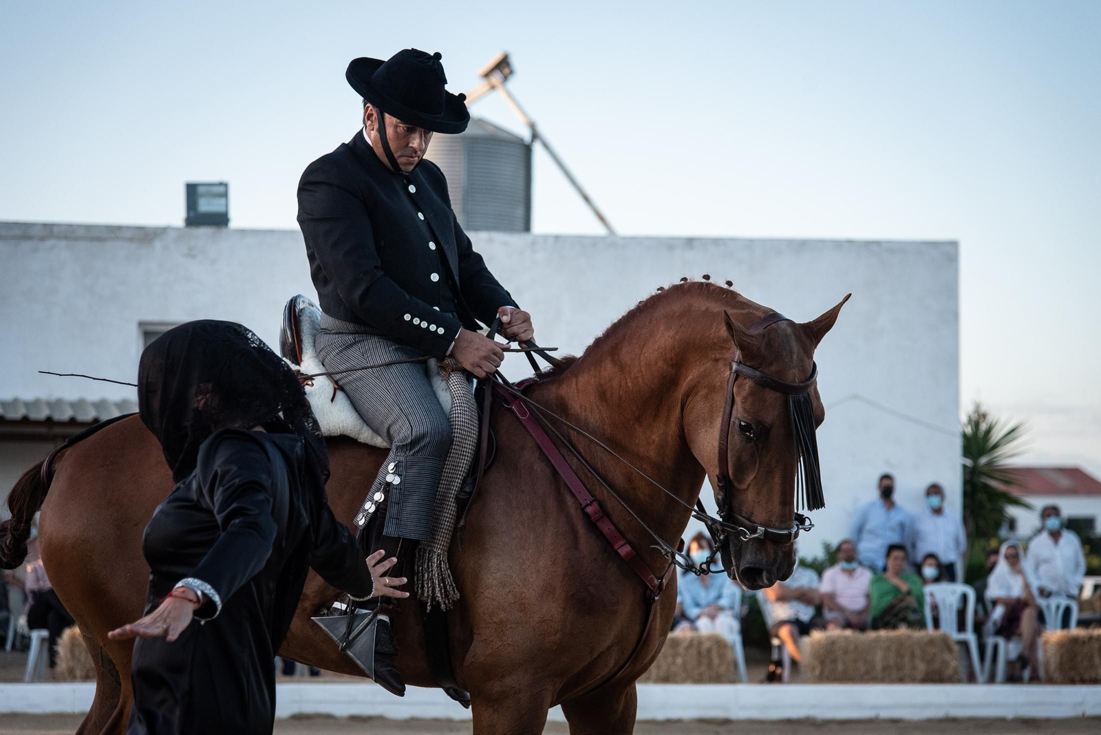 El espectáculo Flamencab en imágenes