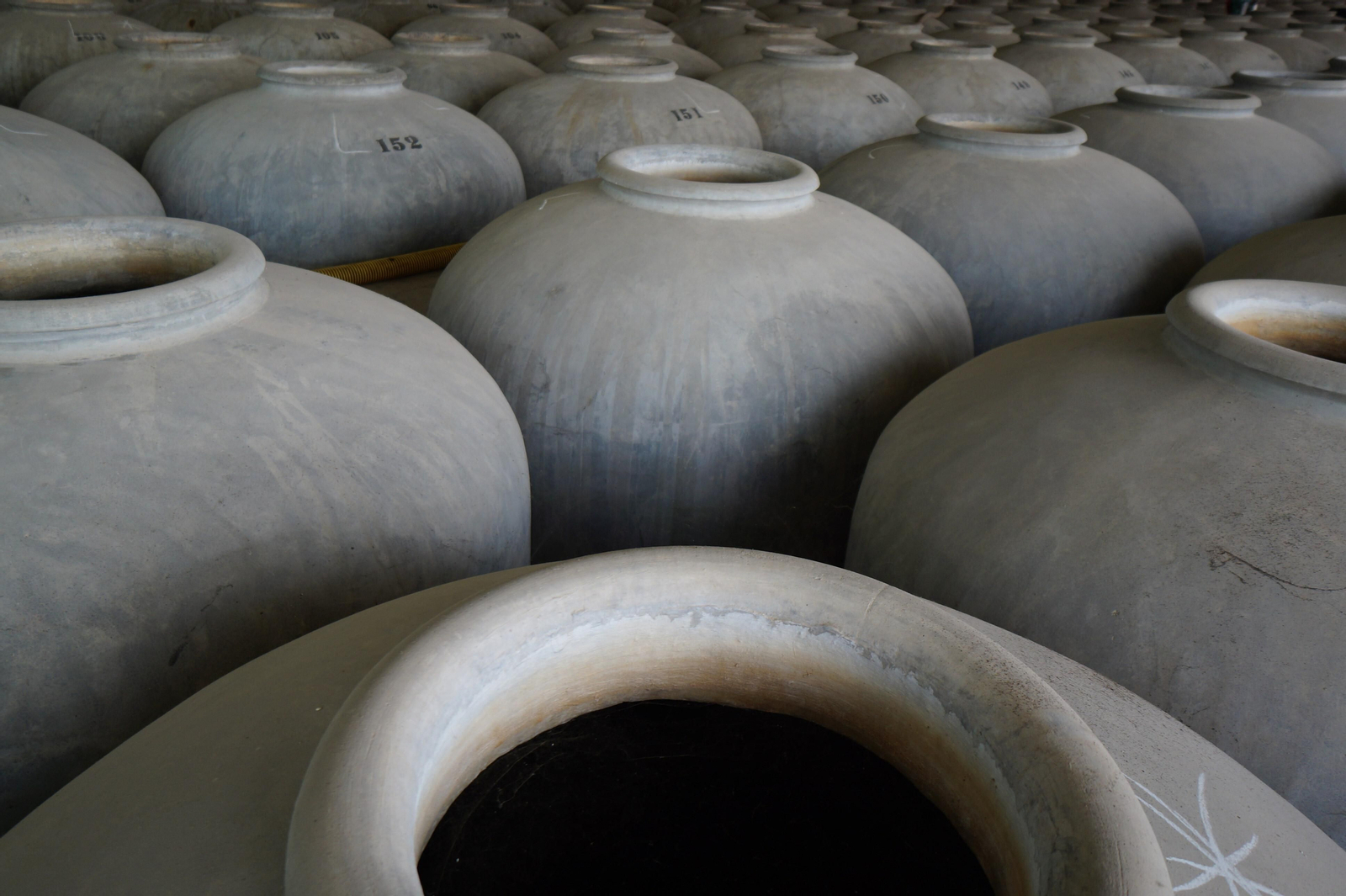 Un recorrido en fotografías por el vino nuevo de Moriles