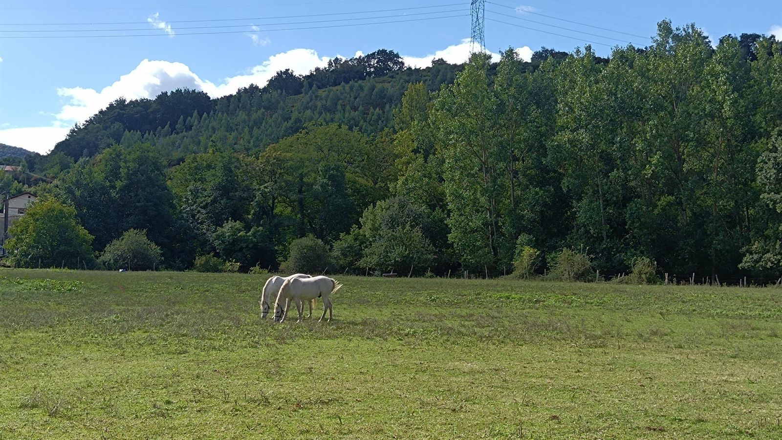 La parte final es mucho más rural.