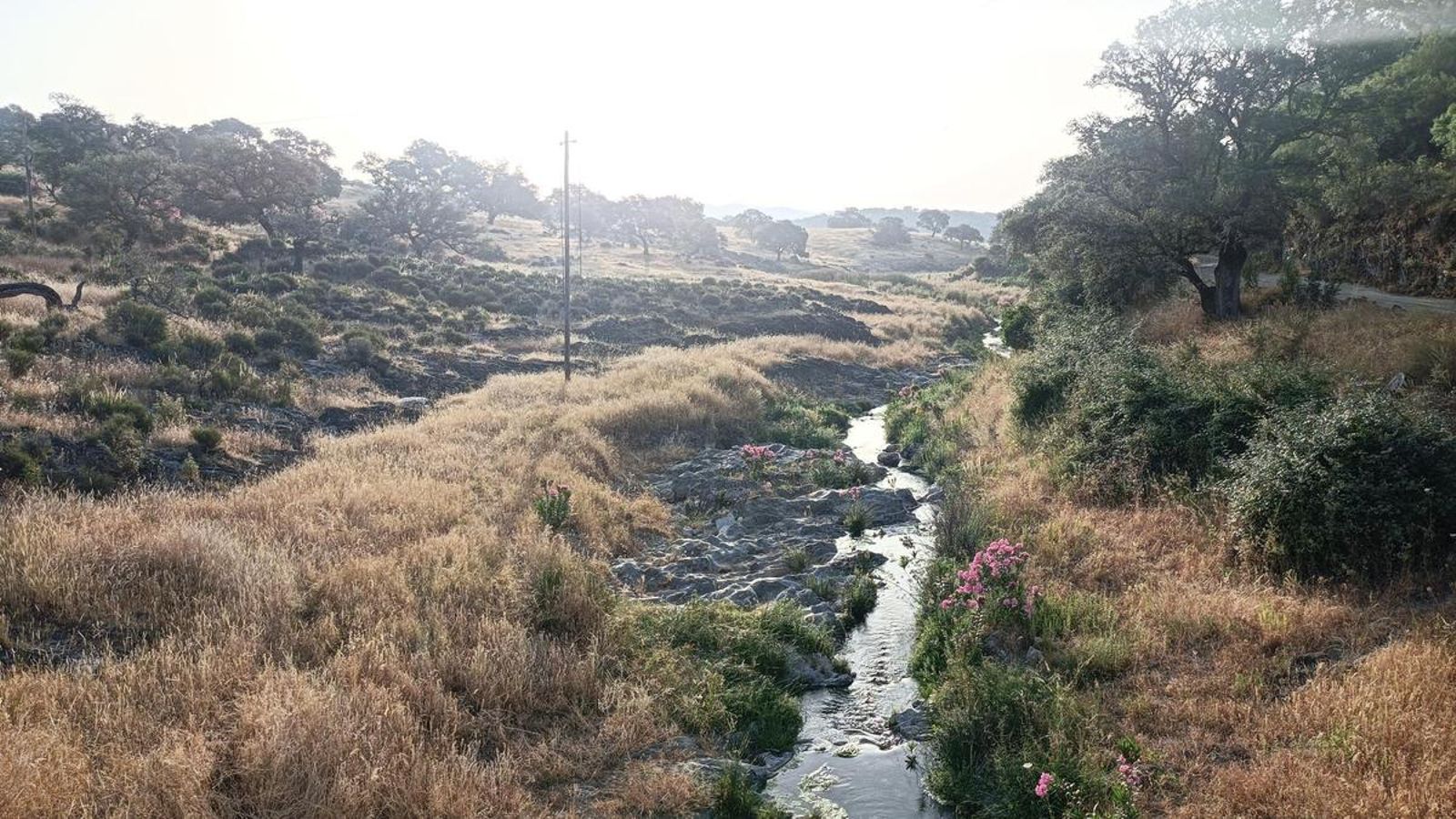 Arroyo de las Casetillas