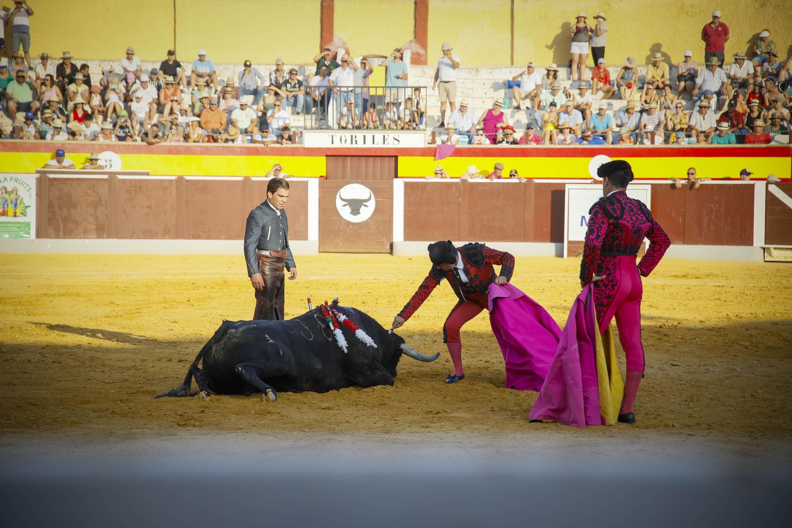 Corrida de toros Berja con un toro indultado, en imágenes