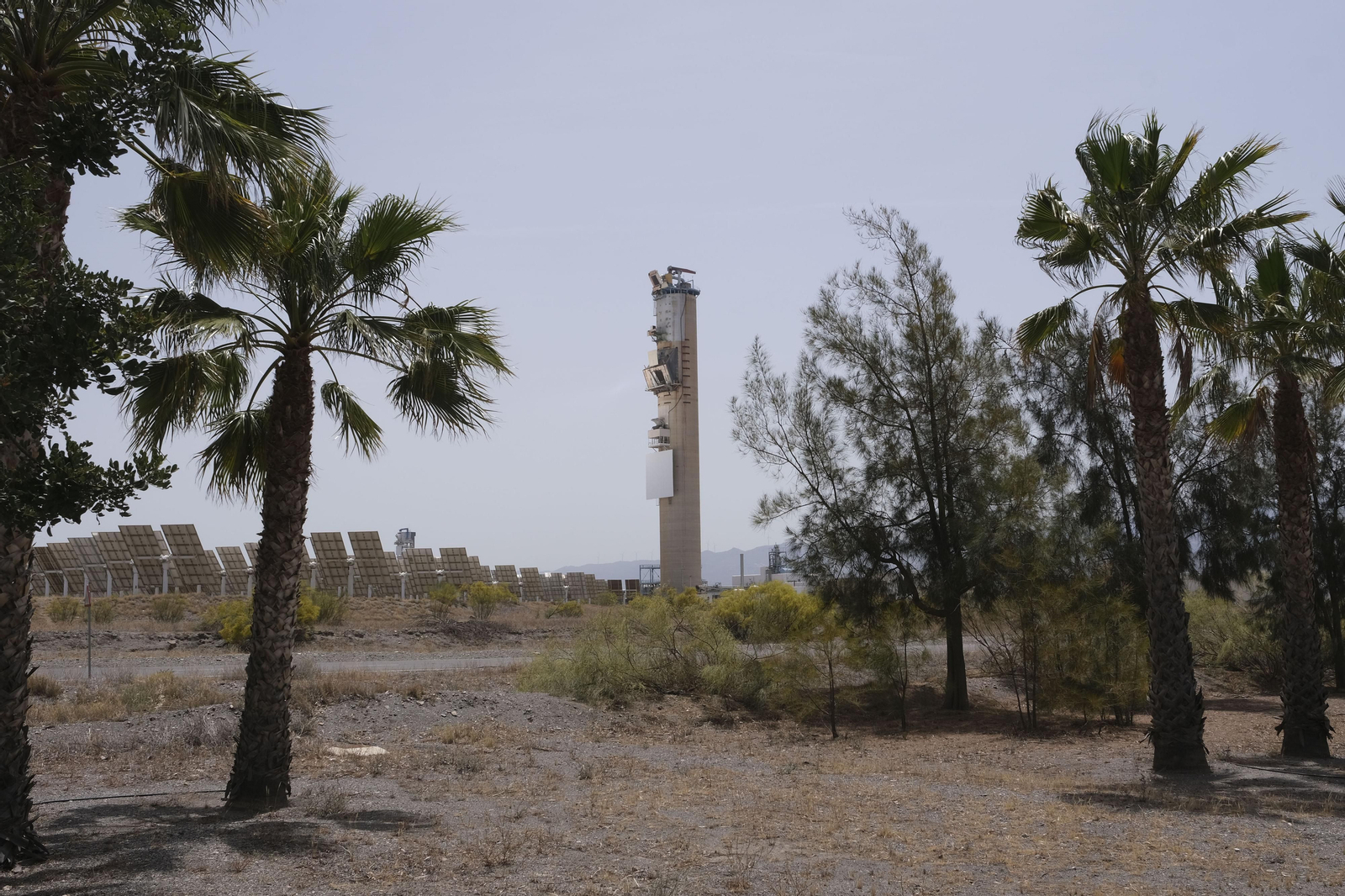 Imágenes de la visita a la Planta Solar de Almería, en Tabernas