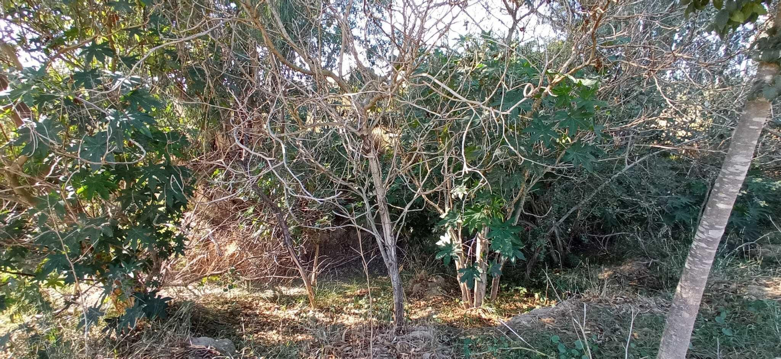 Las imágenes del Tramo I de la Ruta del Río Pudio