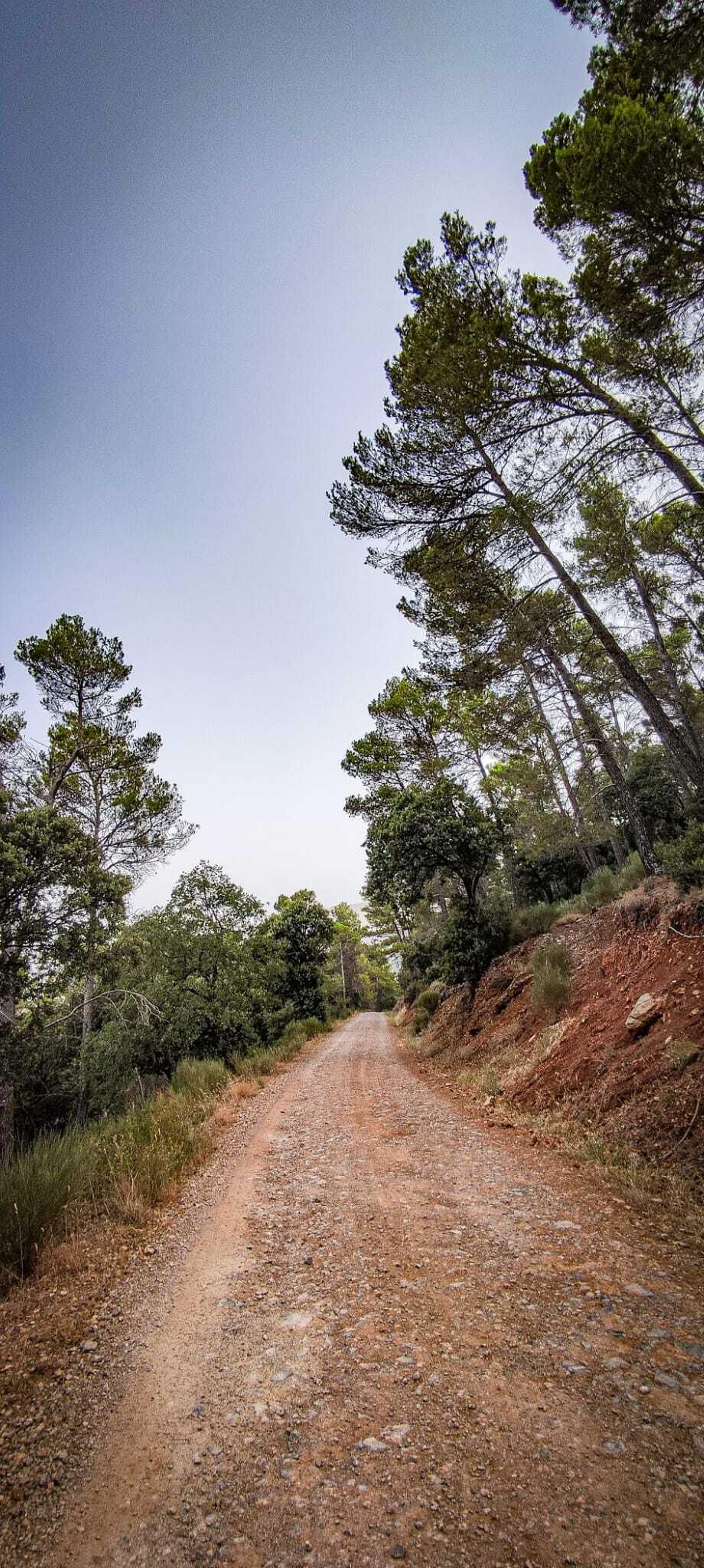 La ruta comienza en ascenso desde el área recreativa Fuenmayor.