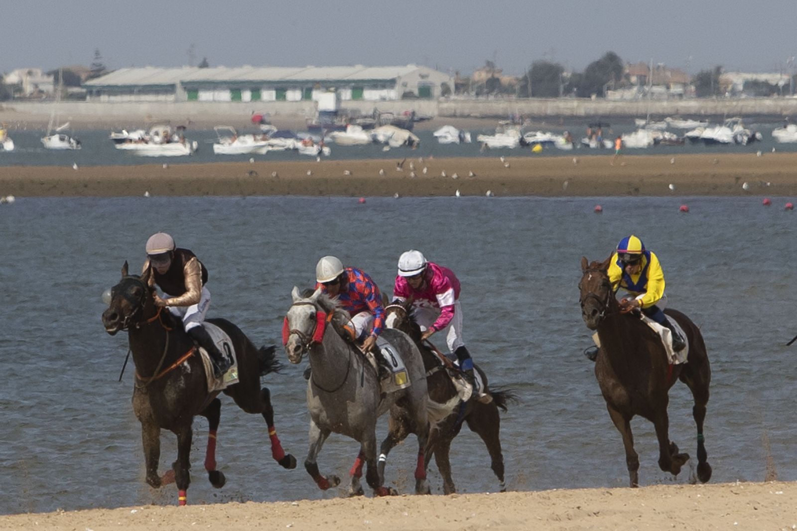 Los caballos, al galope a orillas del Guadalquivir.