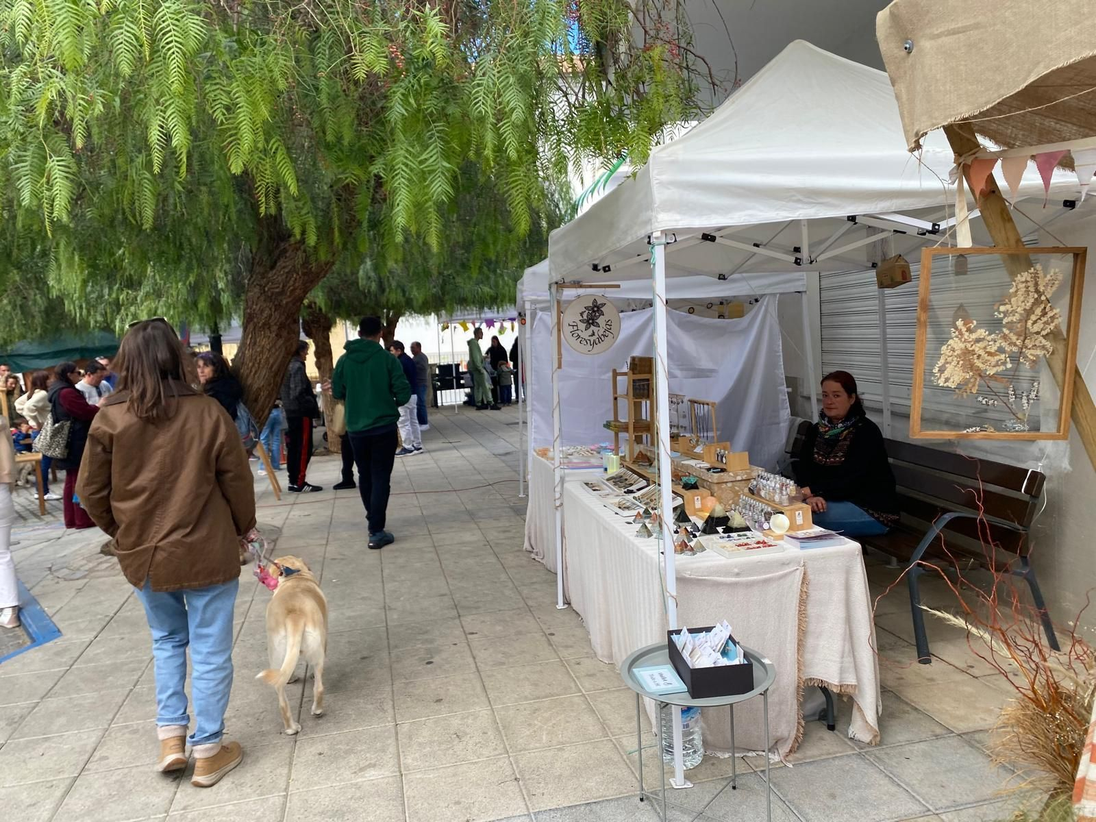 La Feria Medieval de Dílar, en imágenes que parecen de otra época