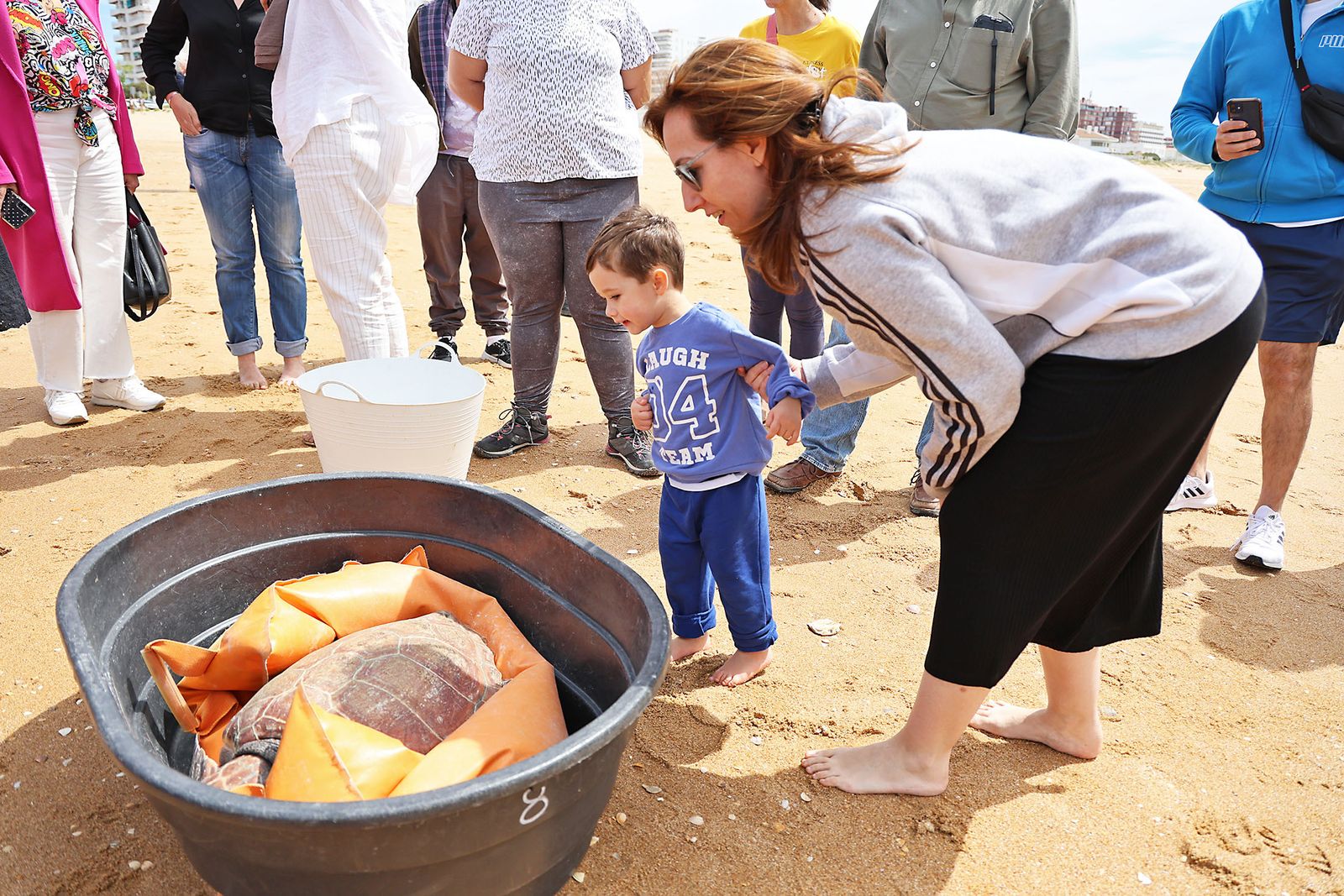 Imágenes de la suelta de una tortuga marina boba recuperada en el CEGMA de Algeciras