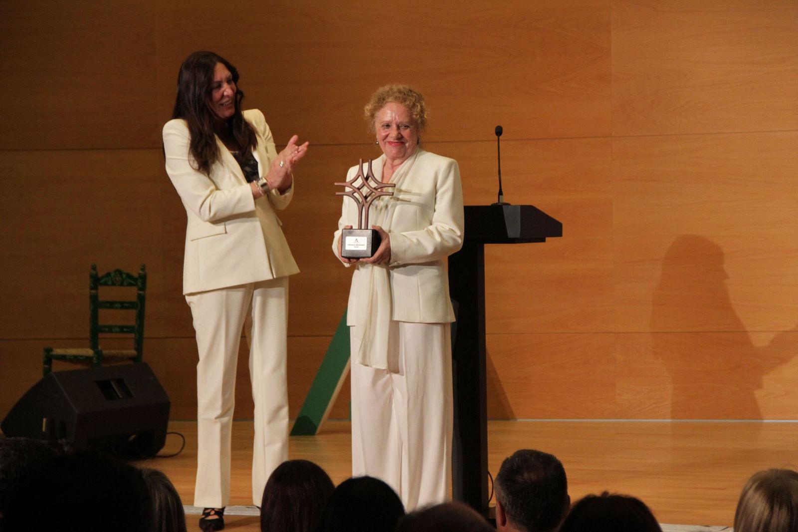 La ceremonia de entrega de los Premios Meridiana en Granada: todas las ...
