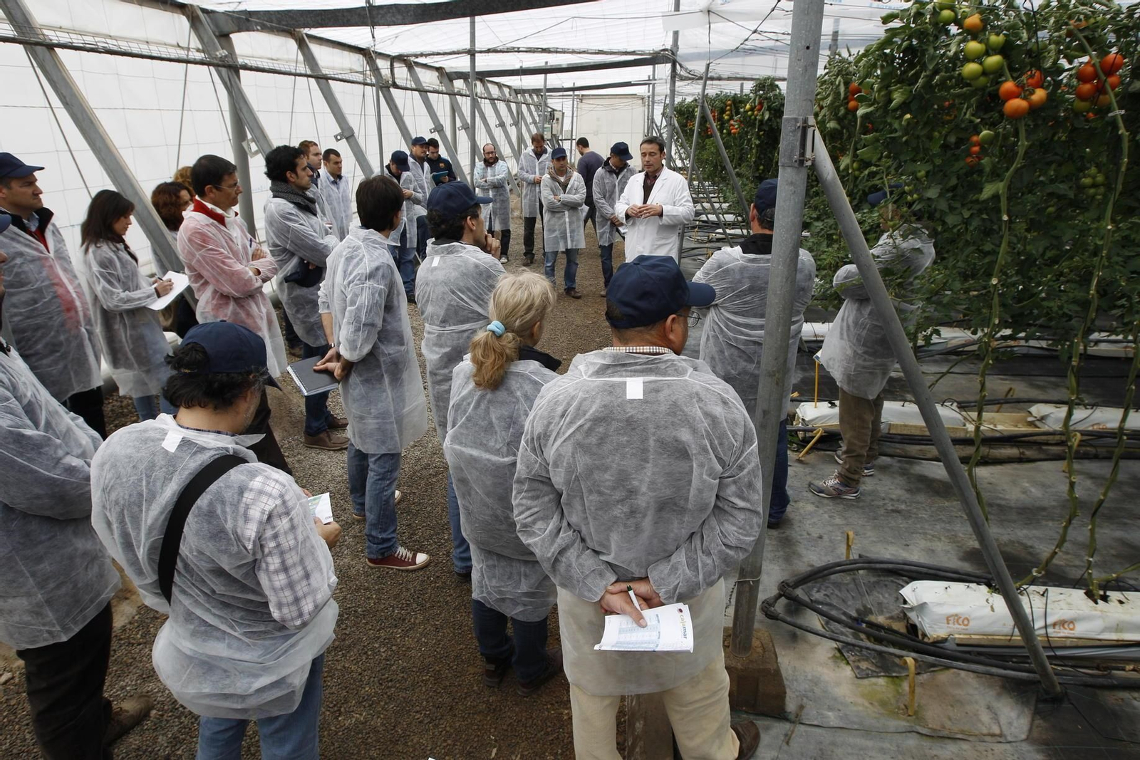 Cajamar contribuye al tejido productivo almeriense a través del I+D de centros como Las Palmerillas.