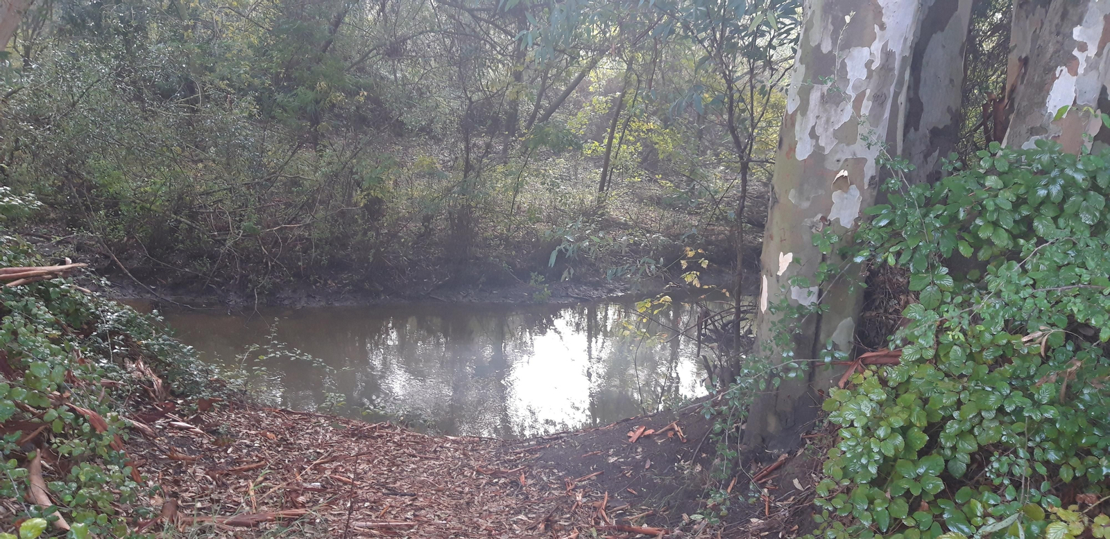 Fotos del Corredor del Guadiamar y el Vado del Quema