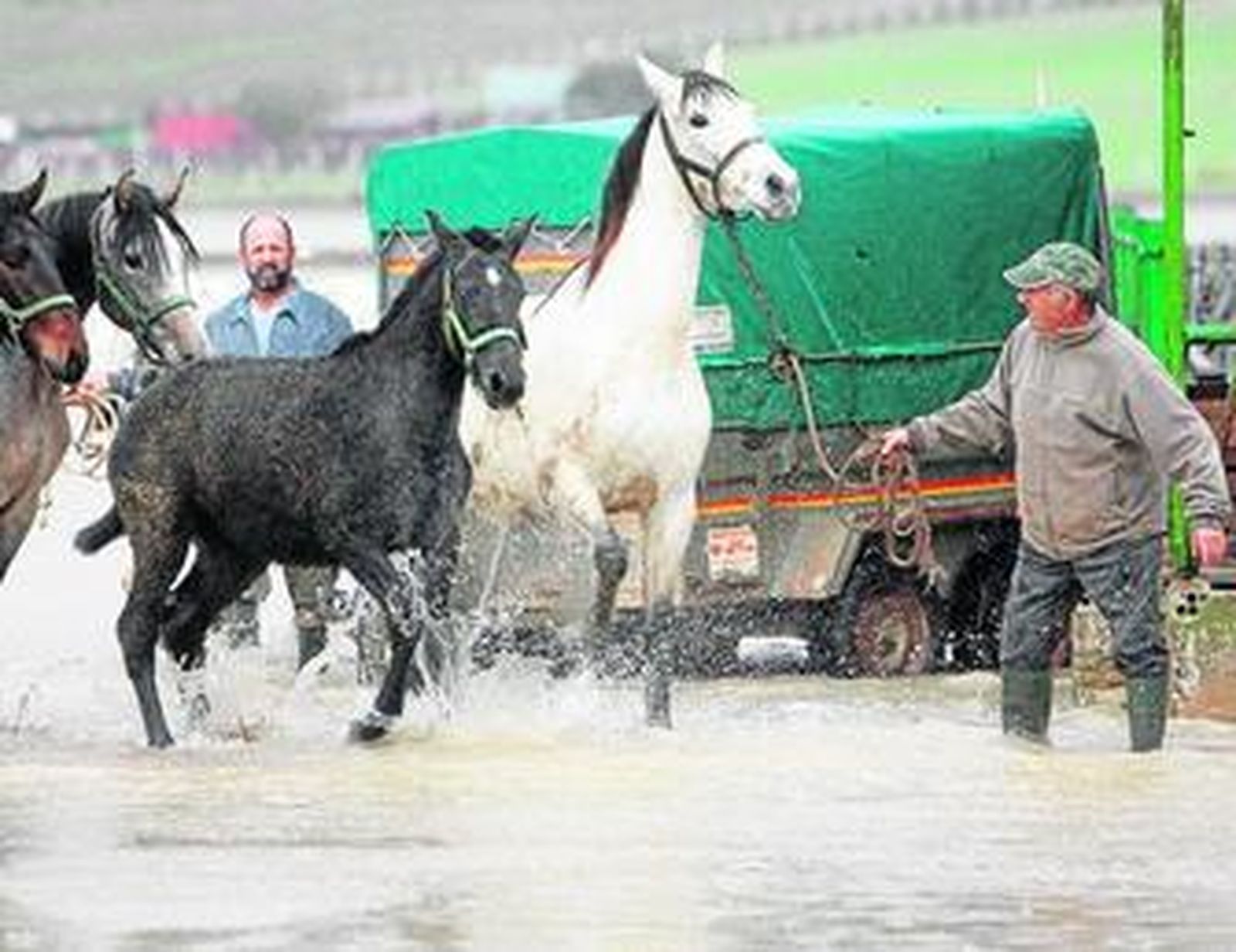 Vecinos del diseminado de Los Cejos mueven ayer sus caballos ante el riesgo de inundación.
