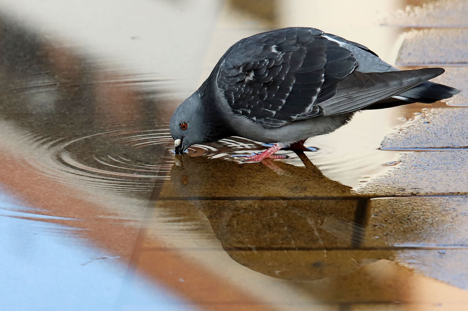Imágenes del domingo 22 de diciembre en Huelva