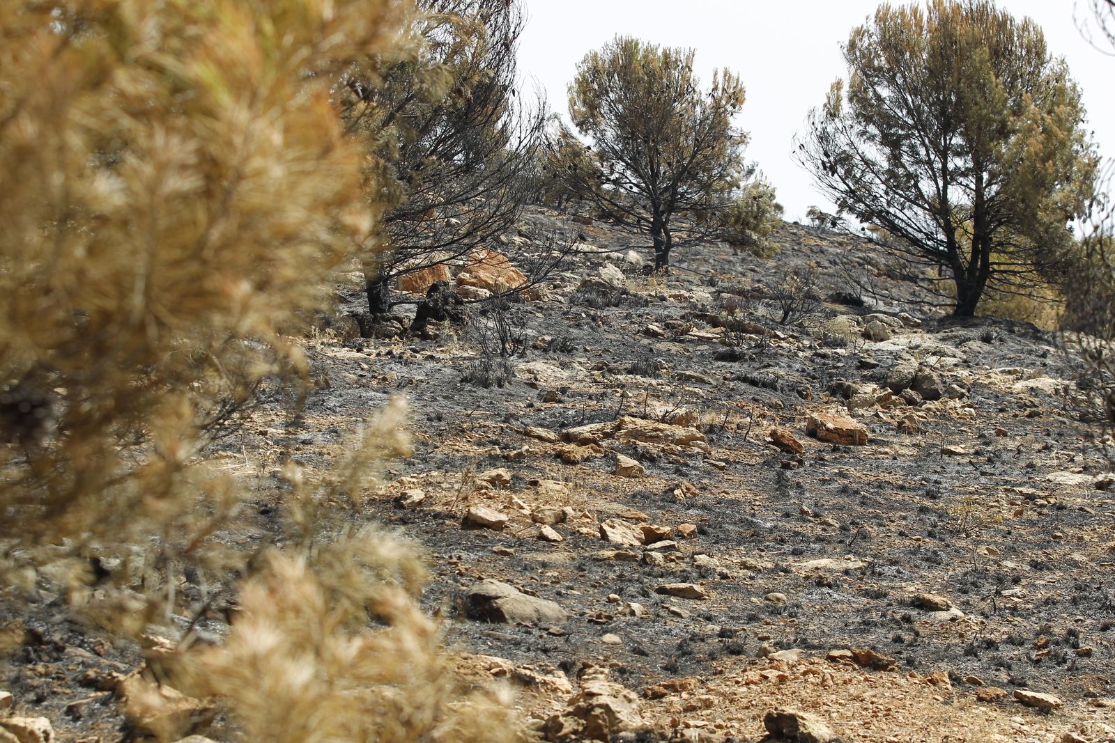 Fotogalería incendio extinguido Sierra de Gádor