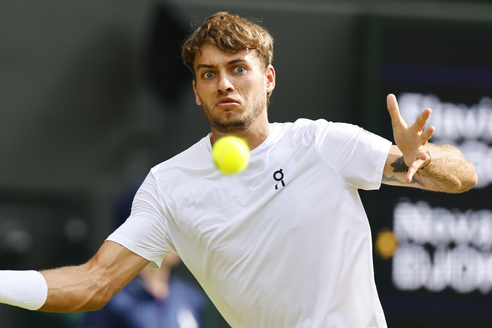 Las fotos de Wimbledon con las clasificaciones de Djokovic y Sinner