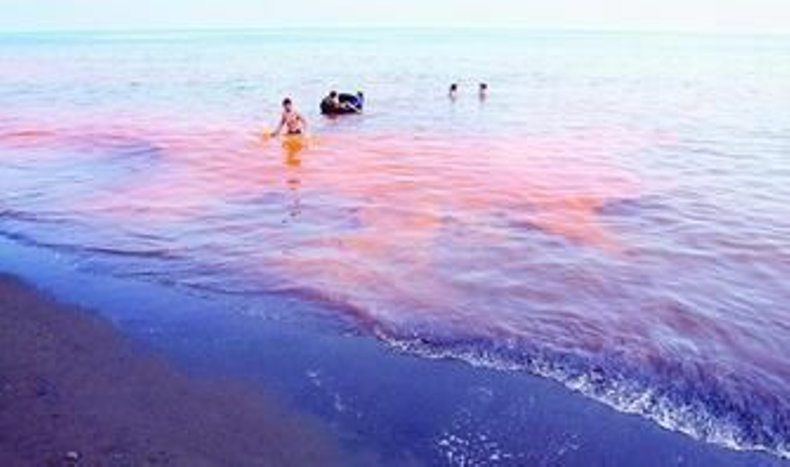 Ahí está Noctiluca, disfrazada de maldición bíblica, dispuesta a recuperar su santuario de Rincón de la Victoria.