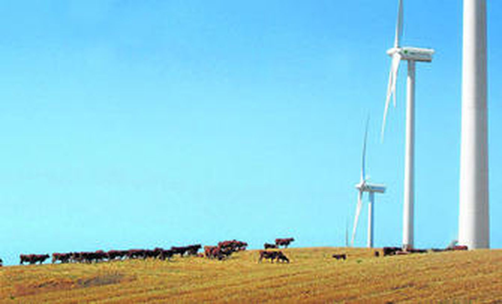 Los aerogeneradores de viento pueblan la geografía española.