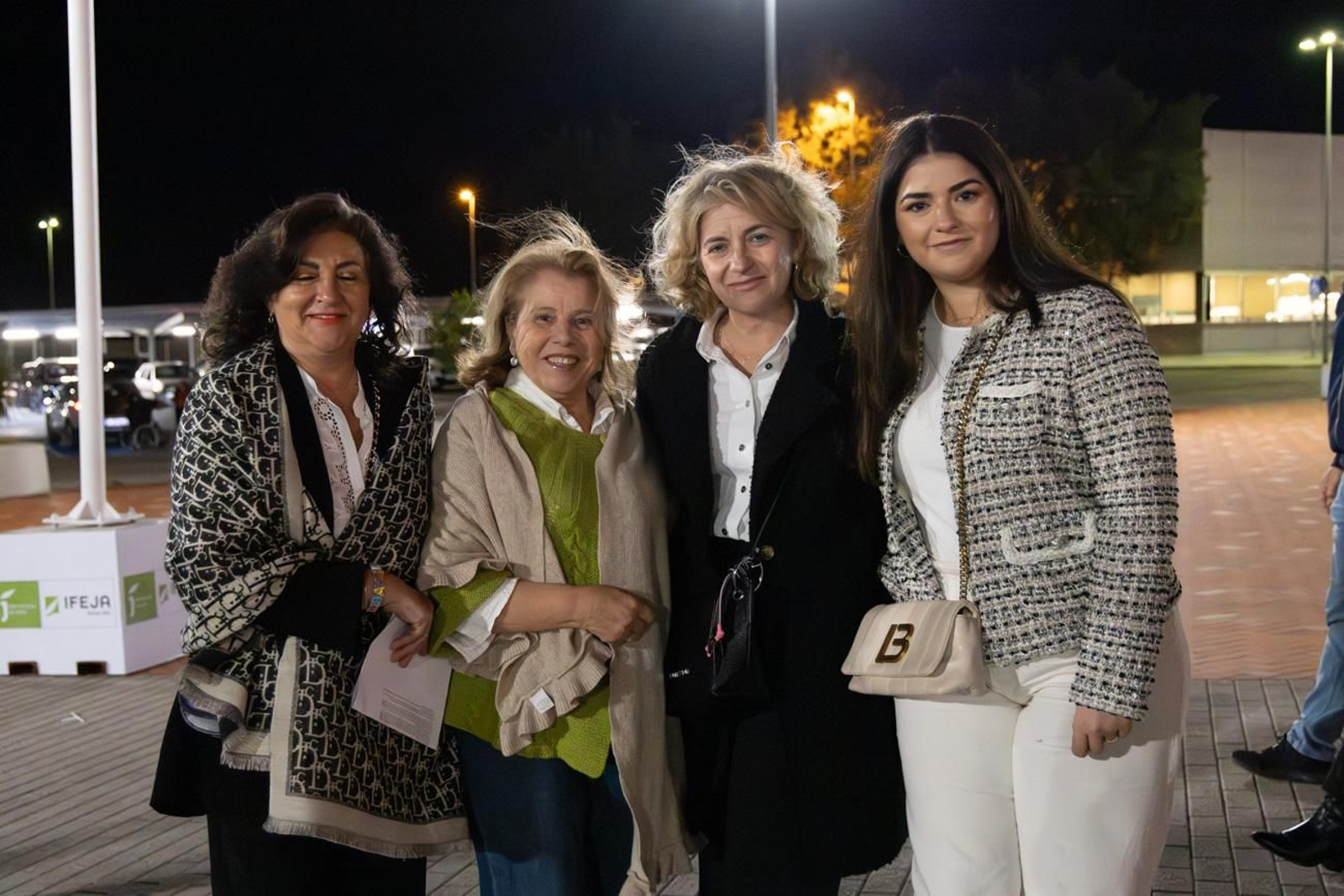 Así se disfruta en Jaén del concierto de Raphael, "Raphaelísimo"