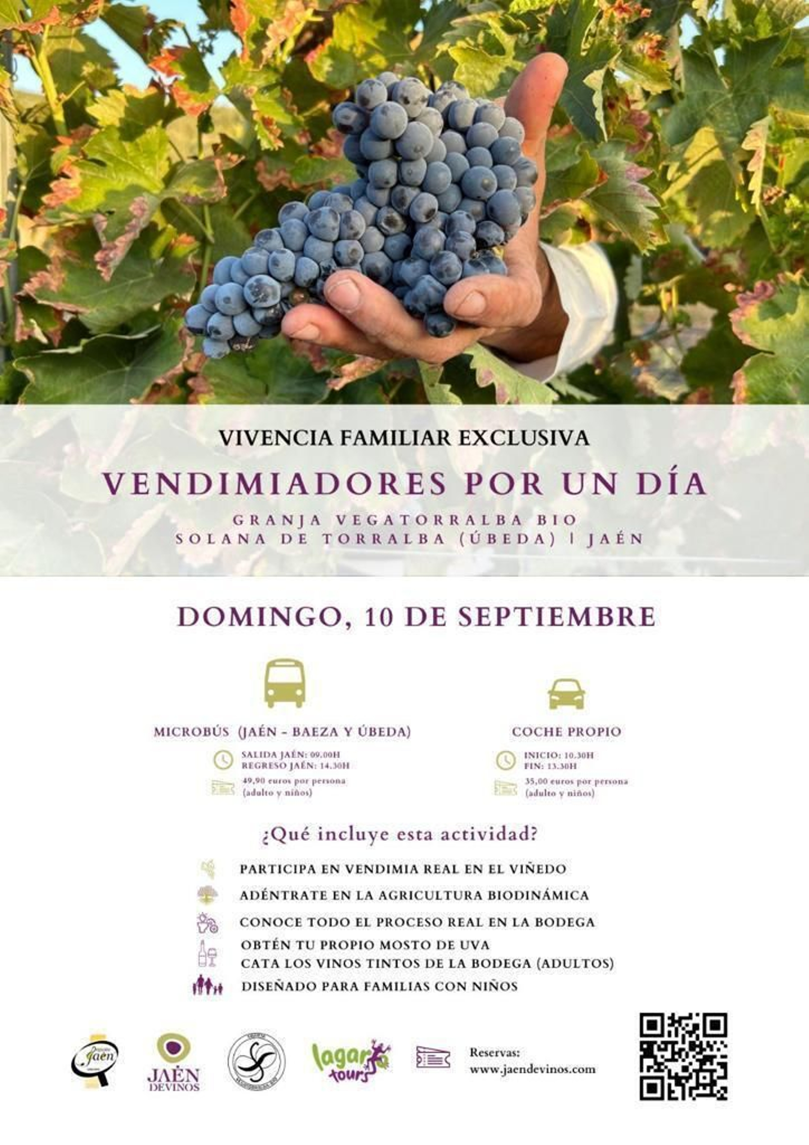 Cartel de la actividad 'Vendimiadores por un día'.